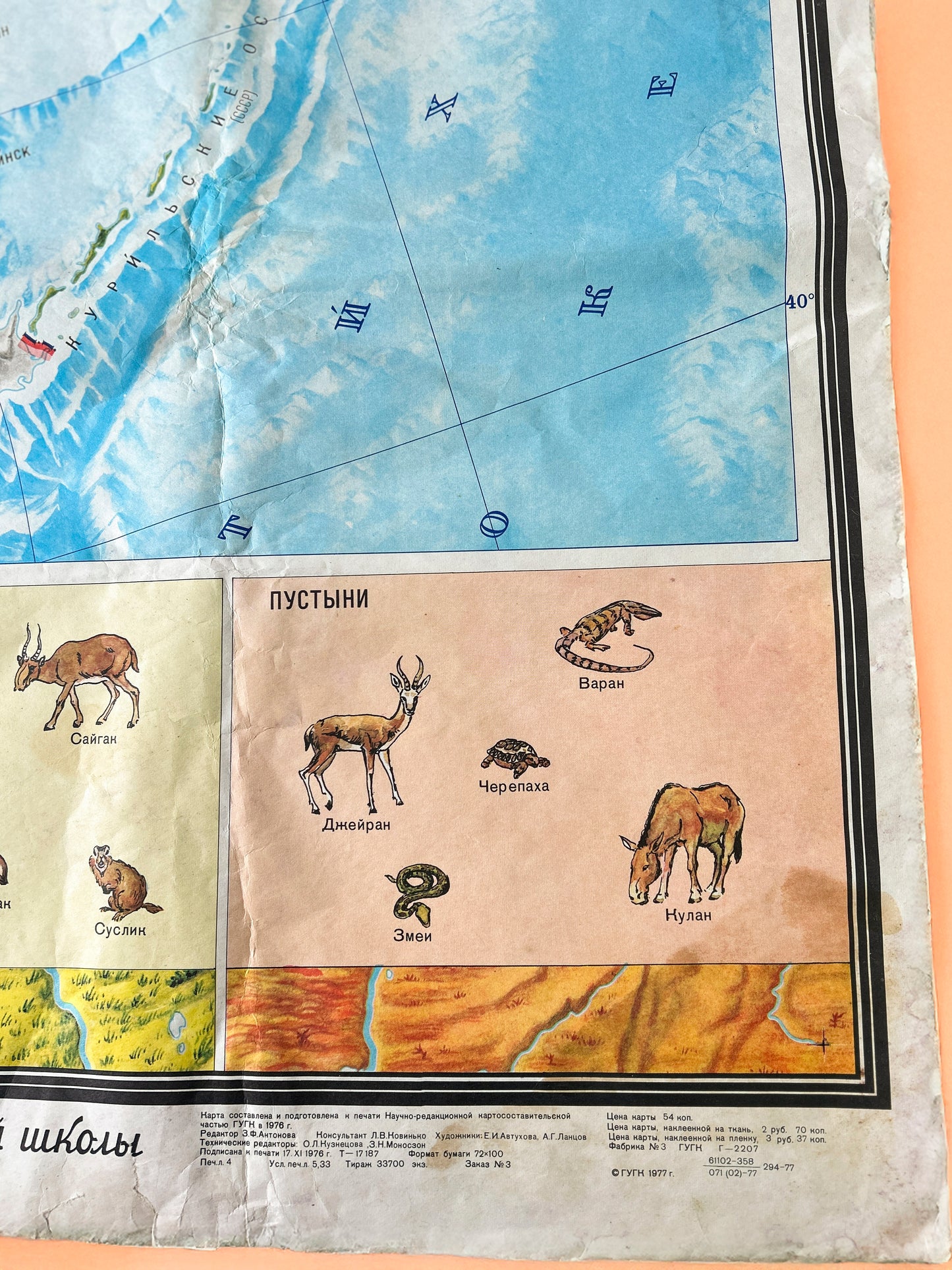 Closeup detail: Soviet vintage educational map Nature of USSR with illustrations of animals