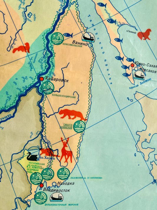 Close-up detail of a Soviet vintage illustrated school map depicting USSR wildlife, animals, birds & nature reserves across the USSR.