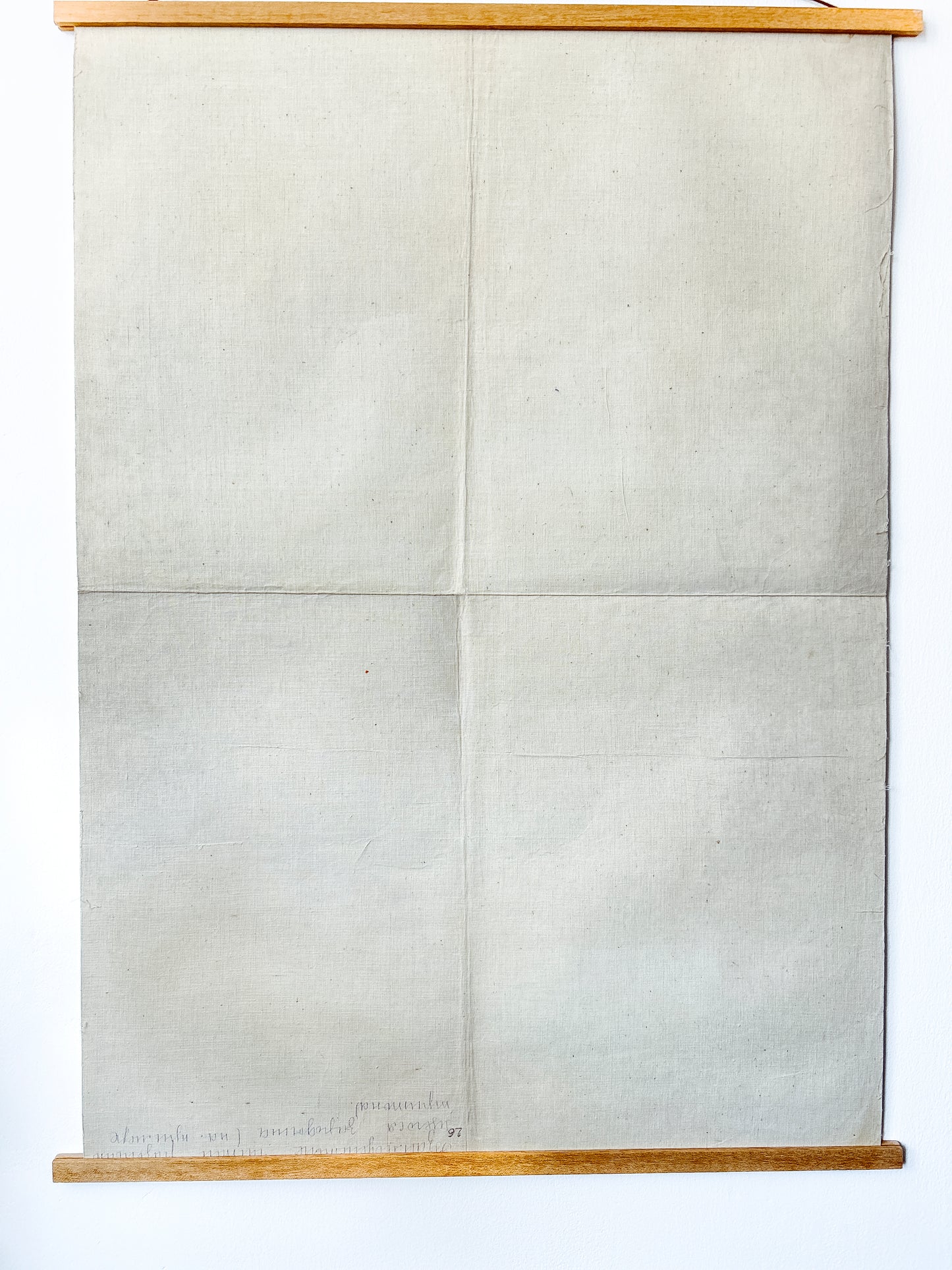 1968 Original Soviet Vintage Large Biology School Chart "Interaction of Parts of a Developing Embryo, example: Triton" Paper On Linen, USSR Mid Century Educational Poster