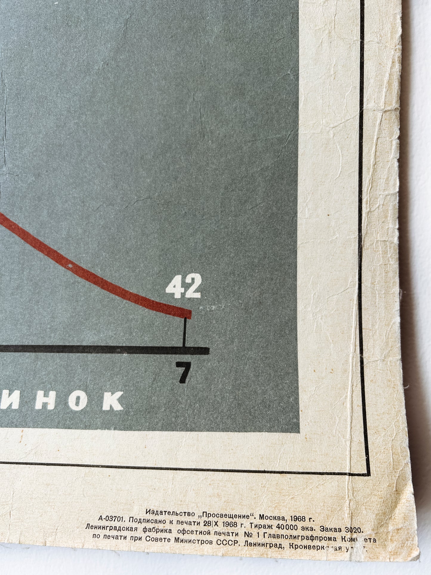 1968 Vintage Large Biology School Chart "MODIFICATION VARIABILITY IN PLANTS" Paper On Linen, Soviet Mid Century Educational Poster, Leaves