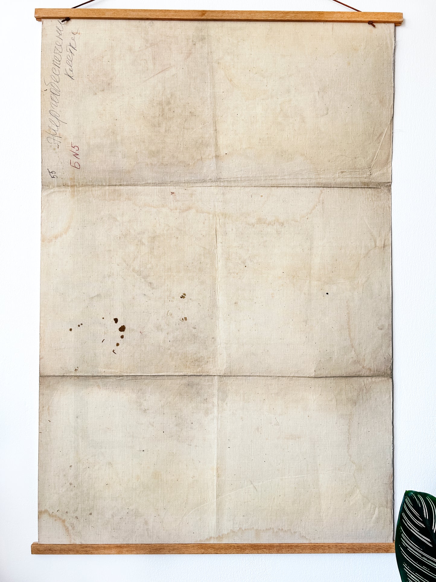 1978 Original Soviet Vintage Large Biology School Chart "ENERGY SUPPLY OF THE CELL" Paper On Linen, USSR Mid Century Educational Poster