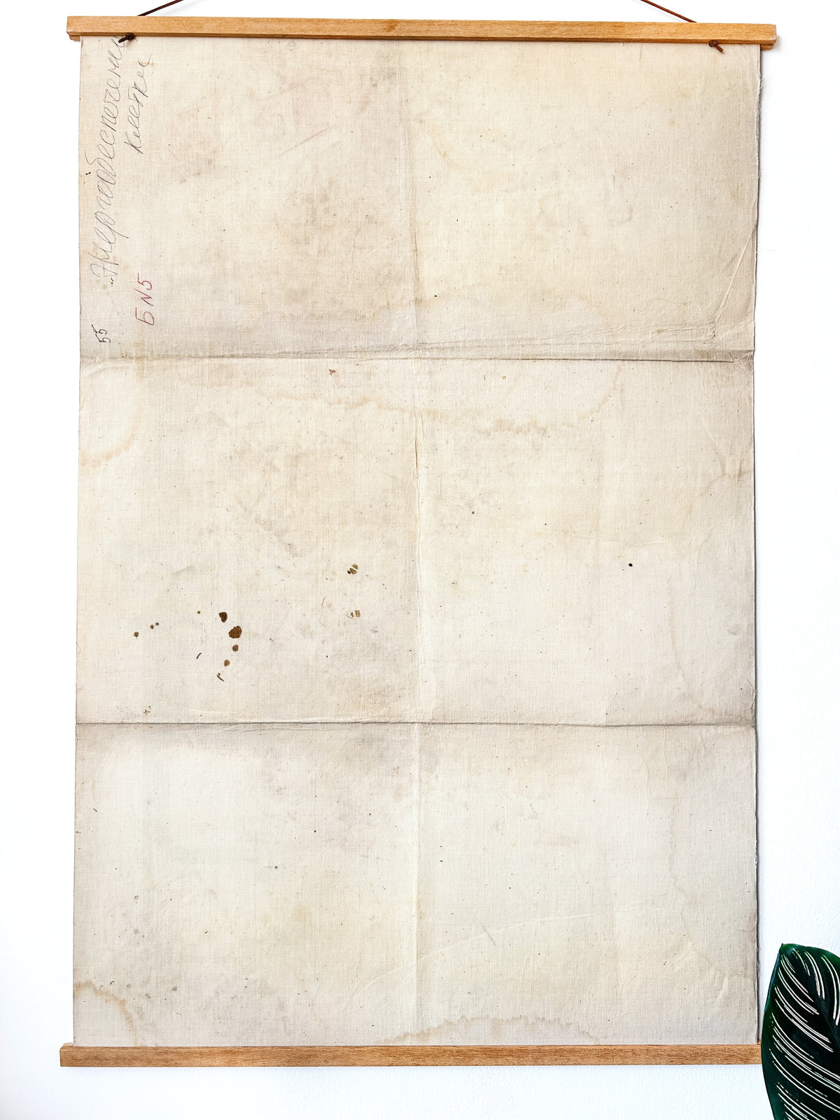Reverse of a soviet vintage mid-century biology poster printed on paper with linen backing.