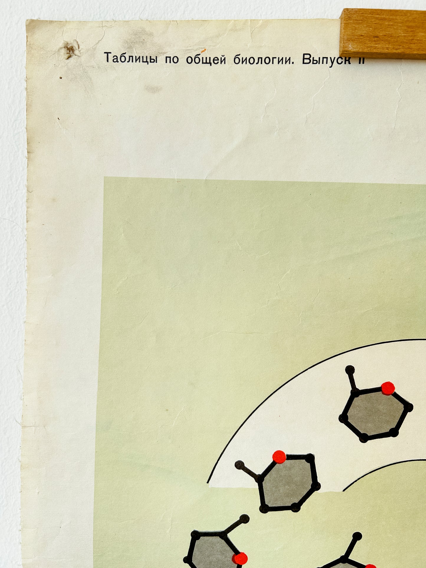 1978 Soviet Vintage Large Biology School Chart "CARBOHYDRATE METABOLISM" Paper On Linen, USSR Mid Century Educational Poster