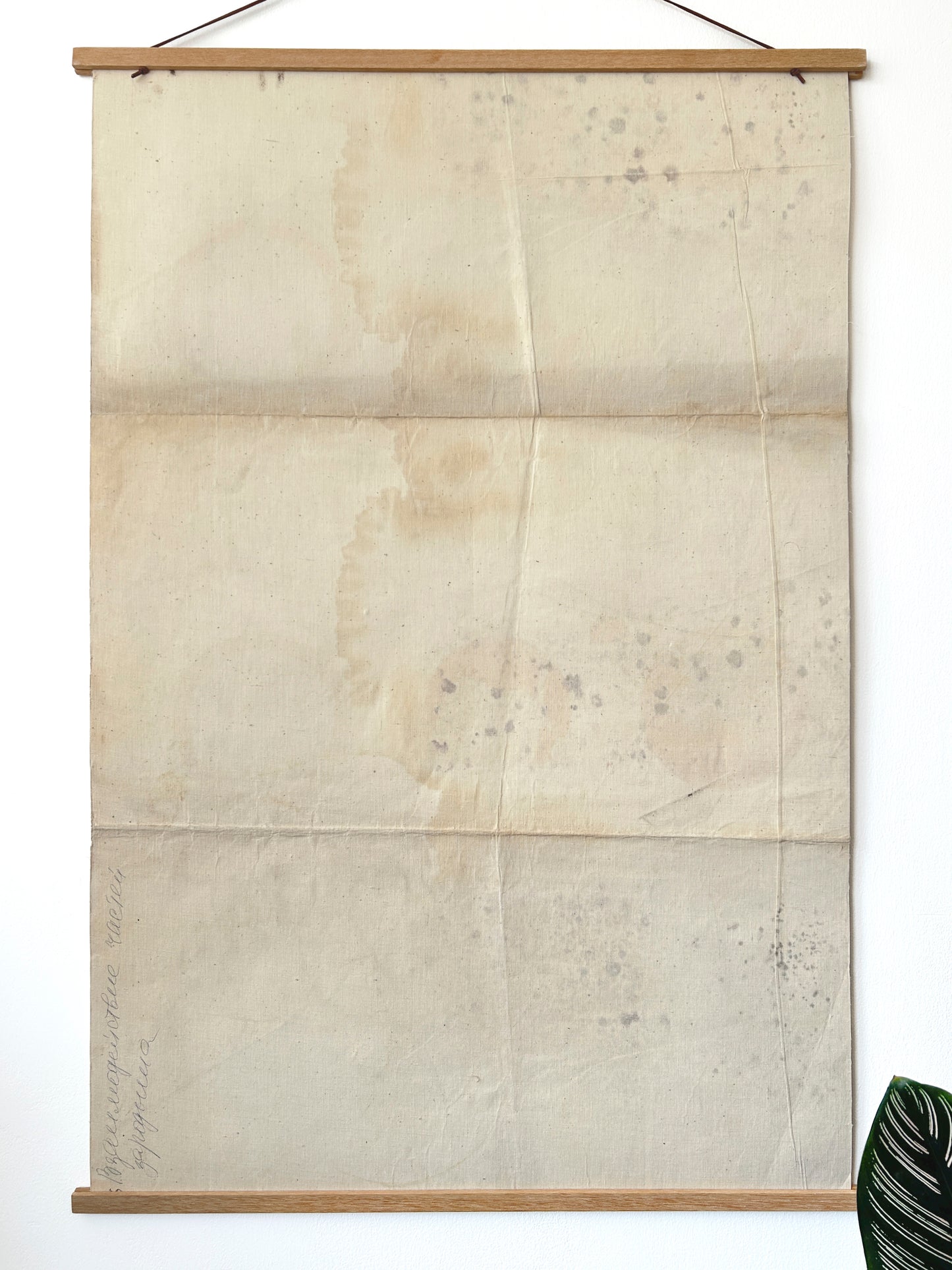 1978 Soviet Vintage Large Biology School Chart "Interaction of Parts of a Developing Embryo" Paper On Linen, USSR Mid Century Educational Poster