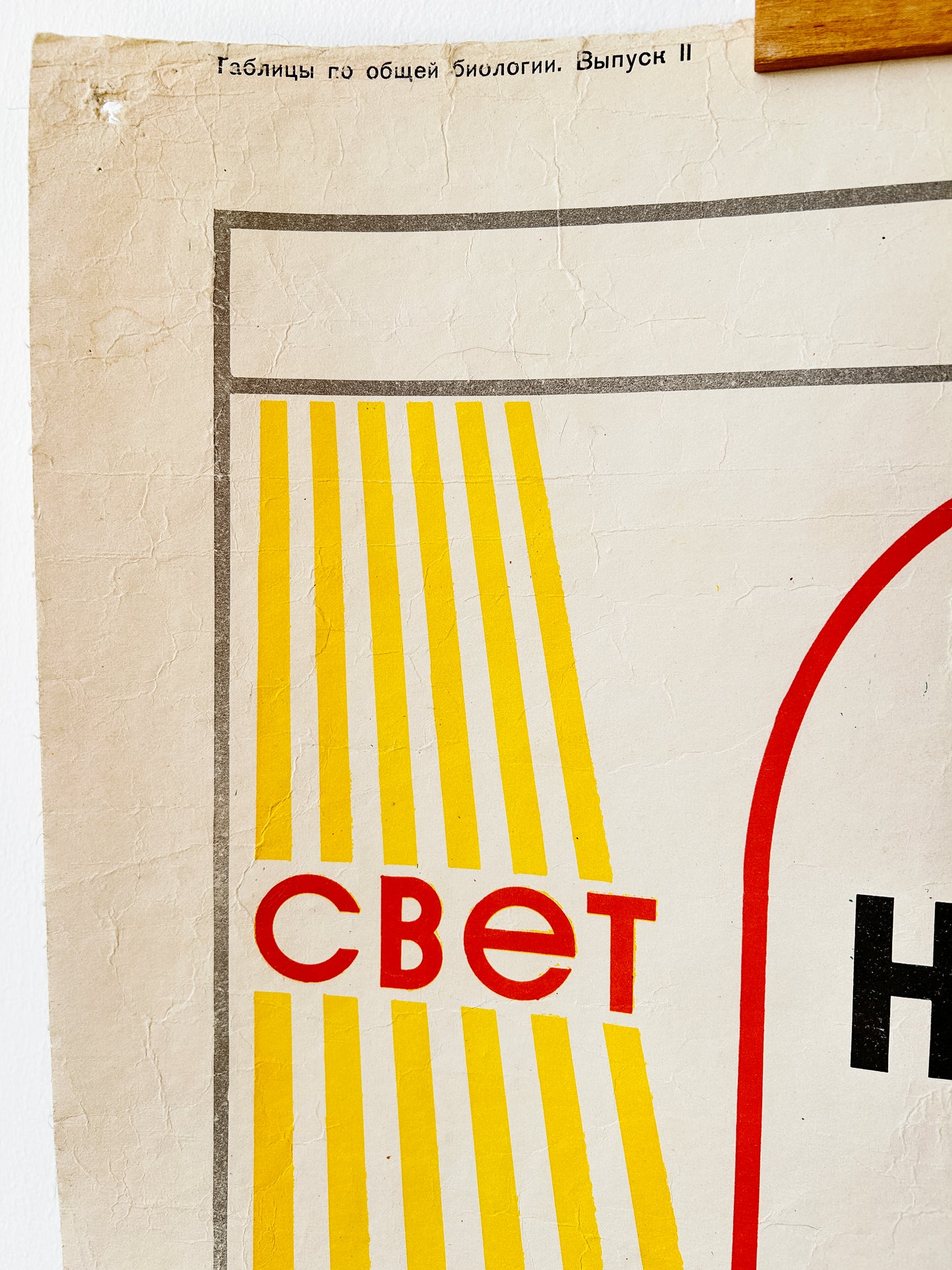1978 Soviet Vintage Large Biology School Chart "PHOTOSYNTHESIS" Paper On Linen, USSR Mid Century Educational Poster