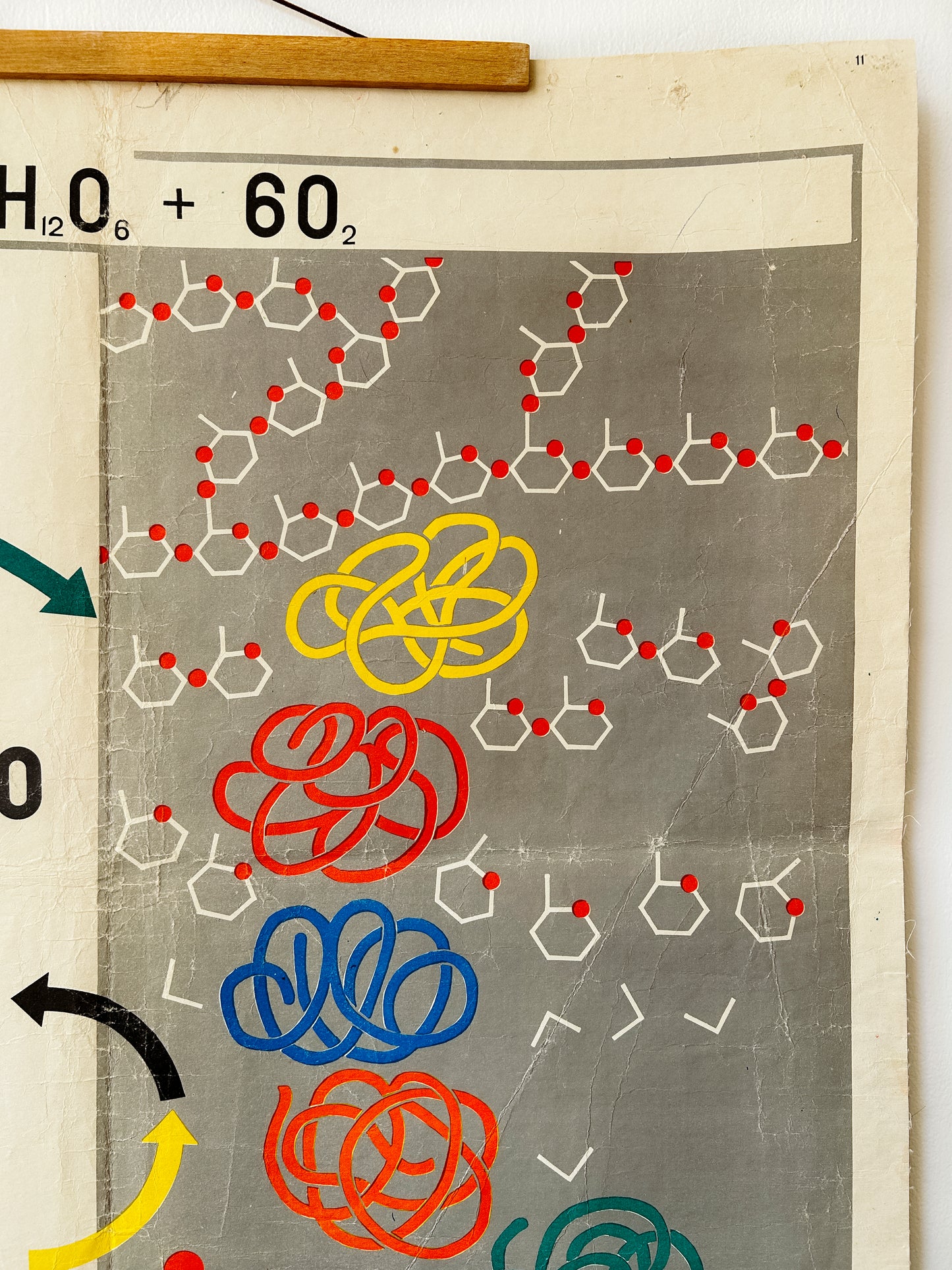 1978 Soviet Vintage Large Biology School Chart "PHOTOSYNTHESIS" Paper On Linen, USSR Mid Century Educational Poster