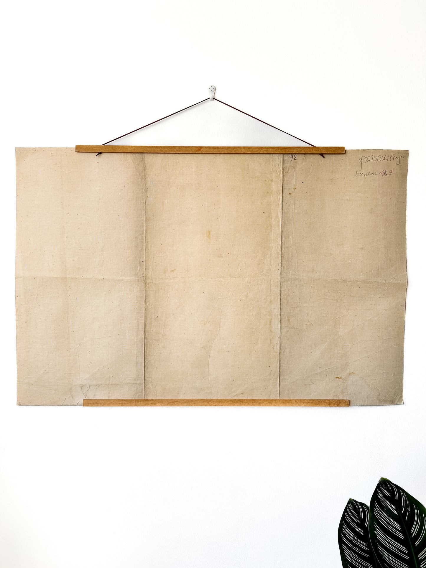 1978 Soviet Vintage Large Biology School Chart "PHOTOSYNTHESIS" Paper On Linen, USSR Mid Century Educational Poster