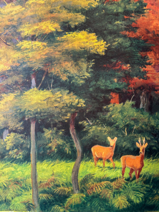 Detail of a Soviet vintage wildlife poster illustrating a forest scene with two deer standing among green and yellow trees, with red-orange foliage in the background.