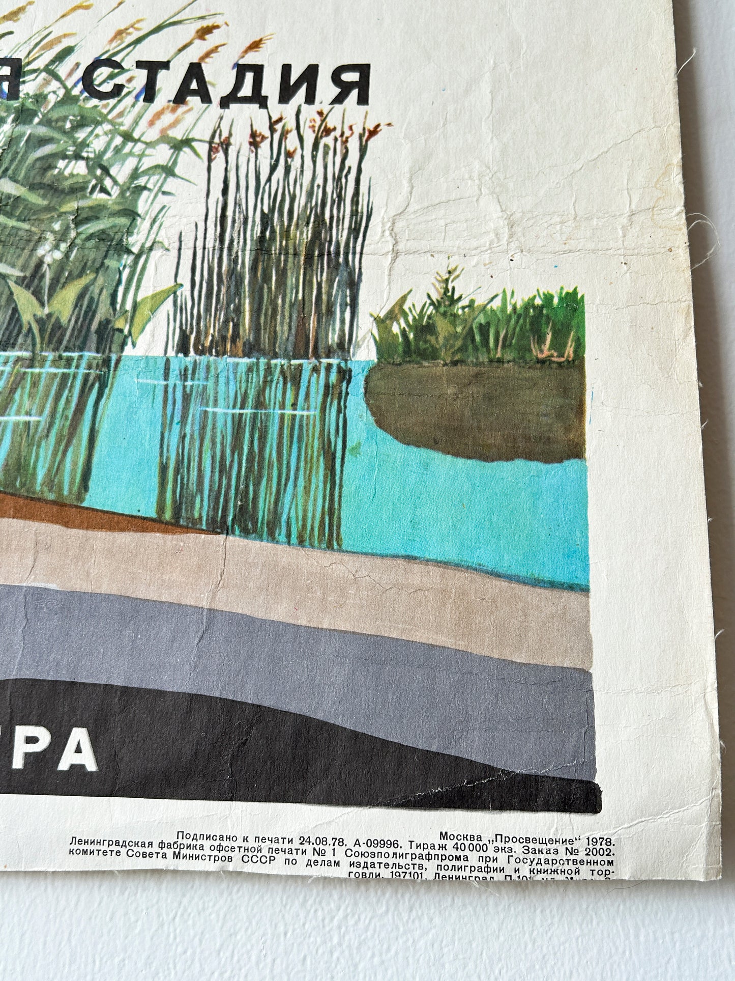 Soviet vintage educational school diagram showing the ecological succession of a lake: how it gradually fills with vegetation, transitions through different plant zones, and eventually turns into a peat bog or dry land.