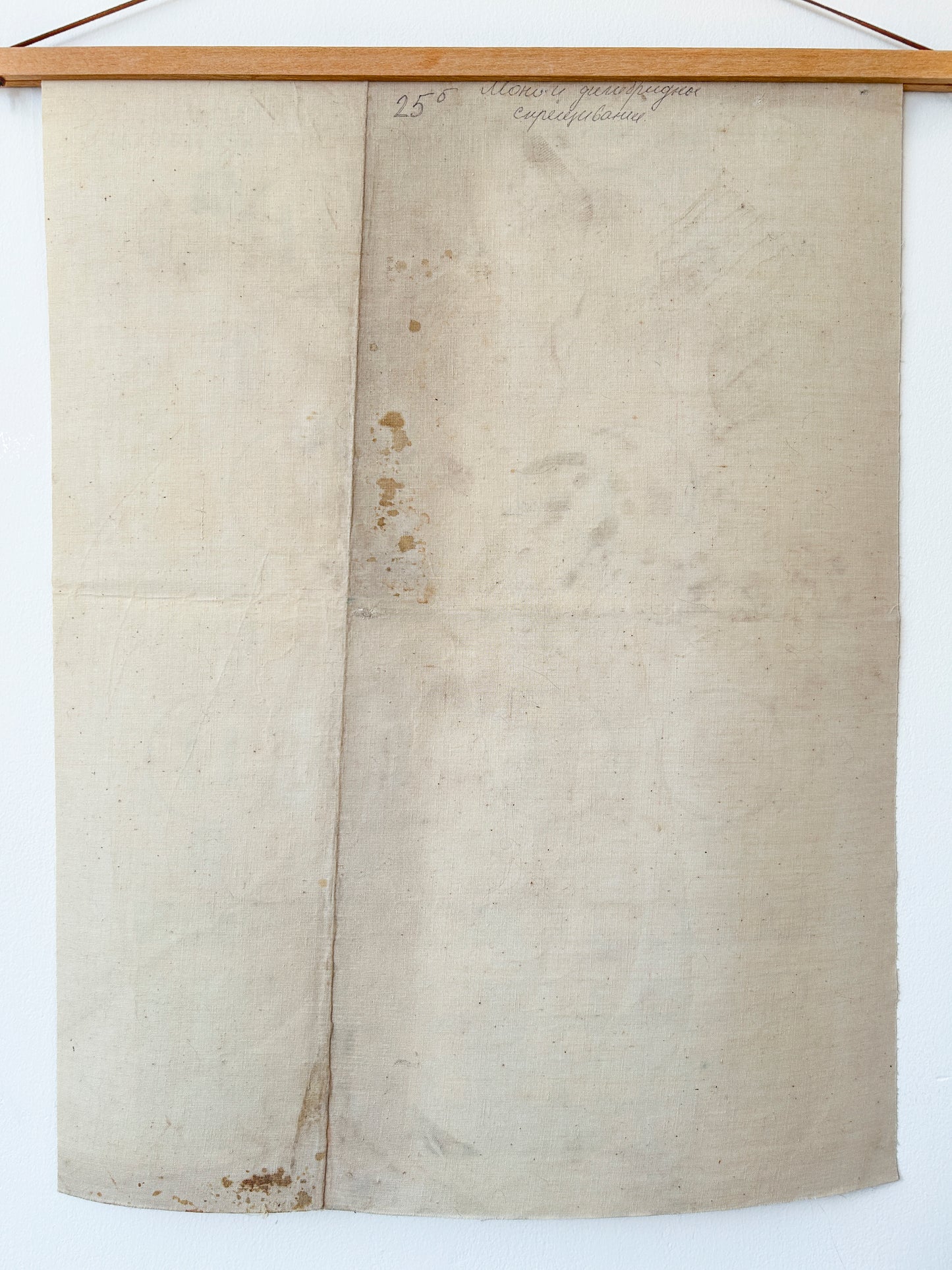 1978 Original Soviet Vintage Biology School Chart "Monohybrid Cross in PEA PLANTS" Paper On Linen, USSR Educational Diagram