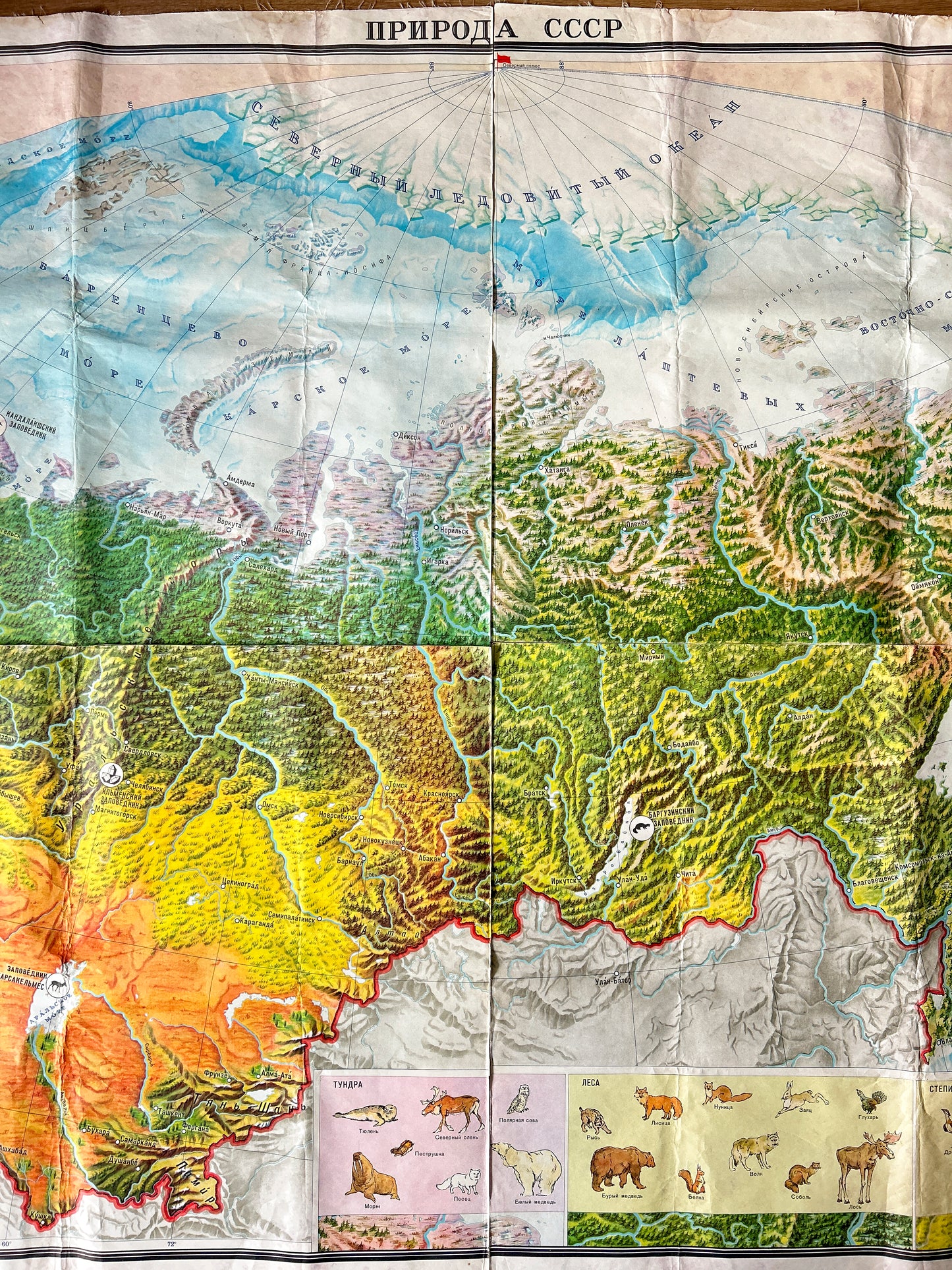 Soviet vintage educational map Nature of USSR with illustrations of animals