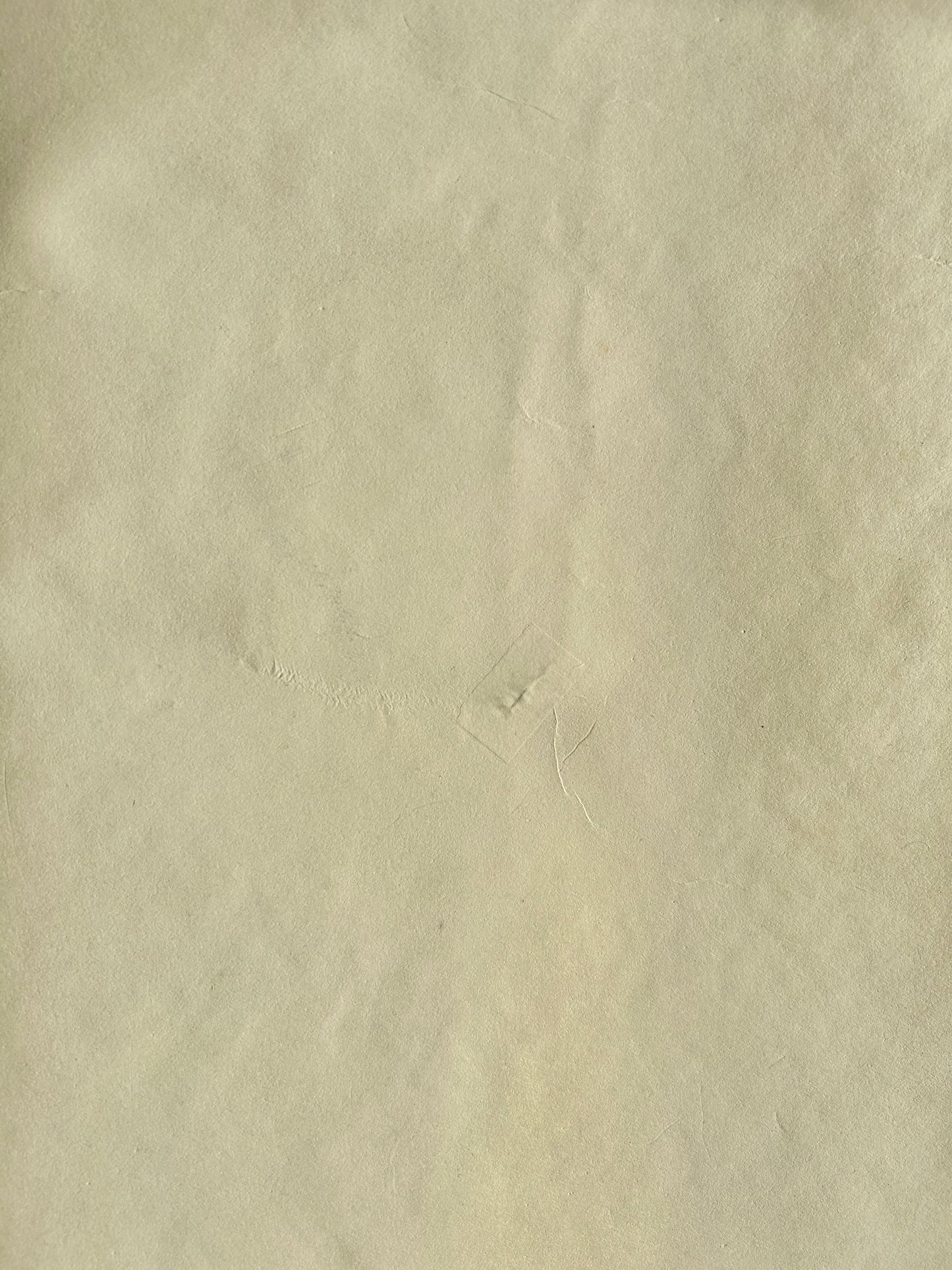 Original Soviet Vintage Educational Wildlife Poster – Animals of Equatorial Forests of South America: Jaguar, Anaconda, Howler Monkey, Hummingbird | USSR School Chart