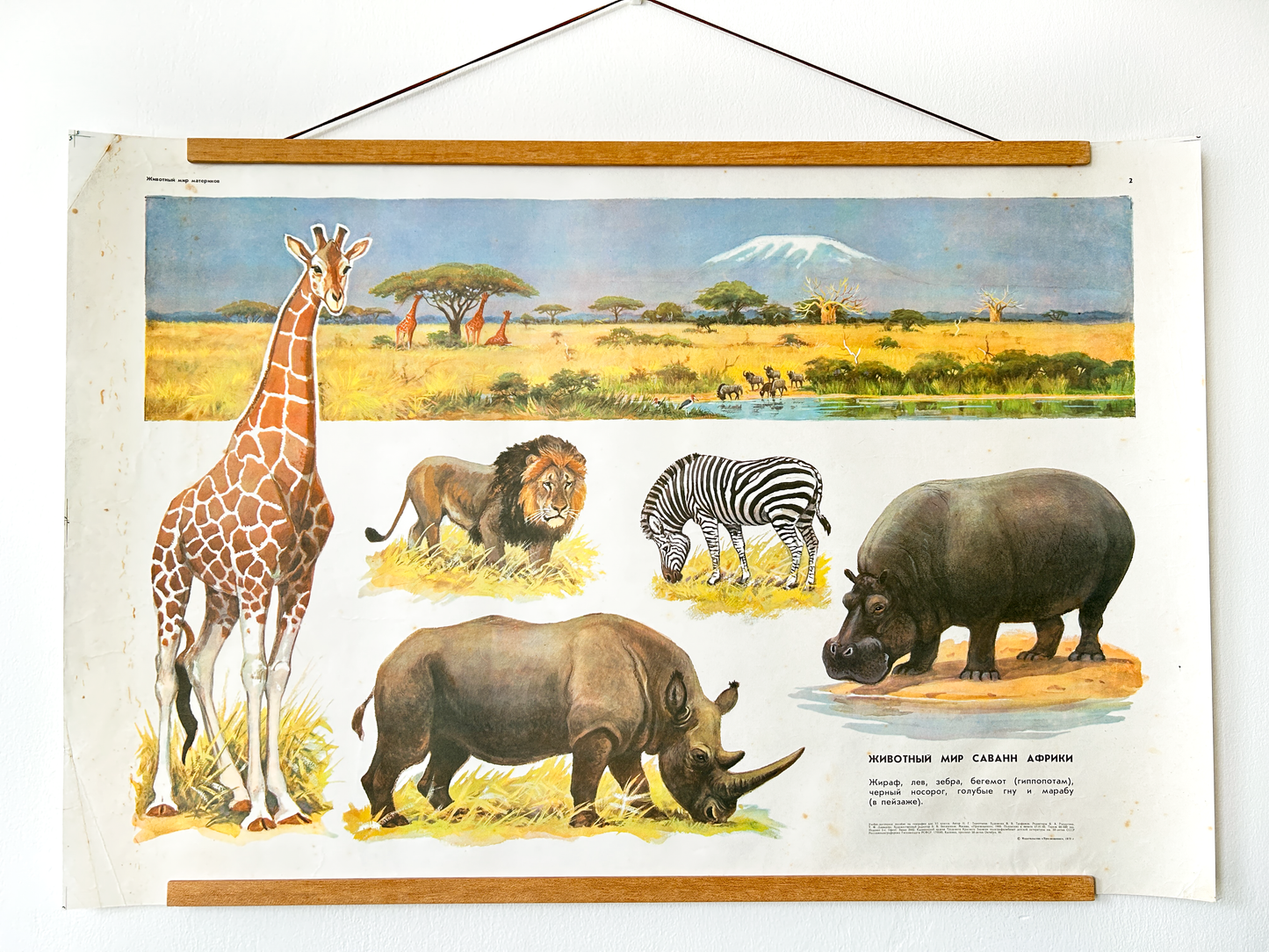 Original Soviet Vintage Educational Wildlife Poster – Animal World of African Savanna: Giraffe, Lion, Zebra, Hippopotamus, Rhinoceros, Wildebeest | USSR School Chart