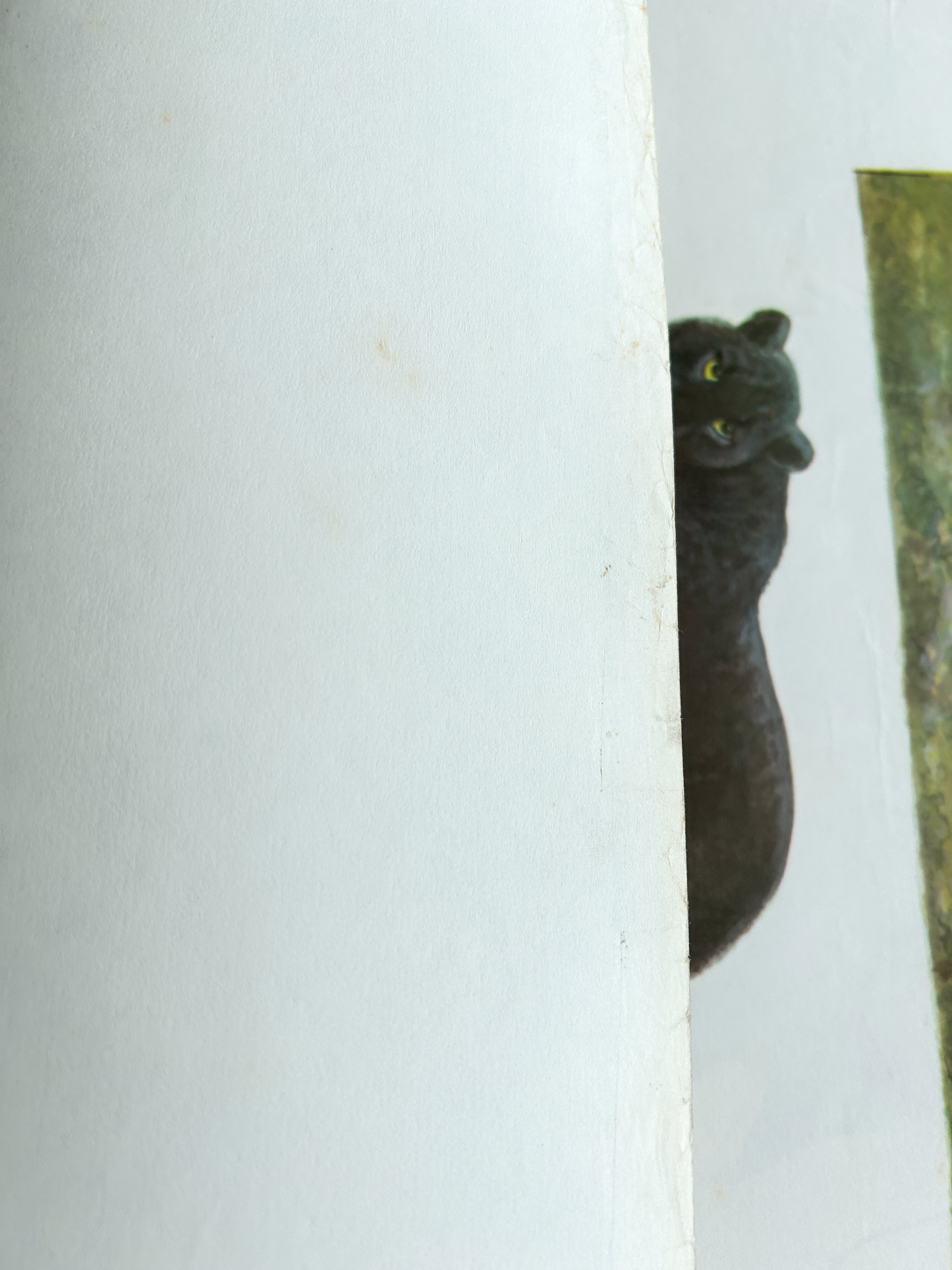 Original Soviet Vintage Educational Wildlife Poster – Animal World of the Savannas of Hindustan: Black Panther, Rhinoceros, Indian Buffalo, Peacock, Nilgai | USSR School Chart