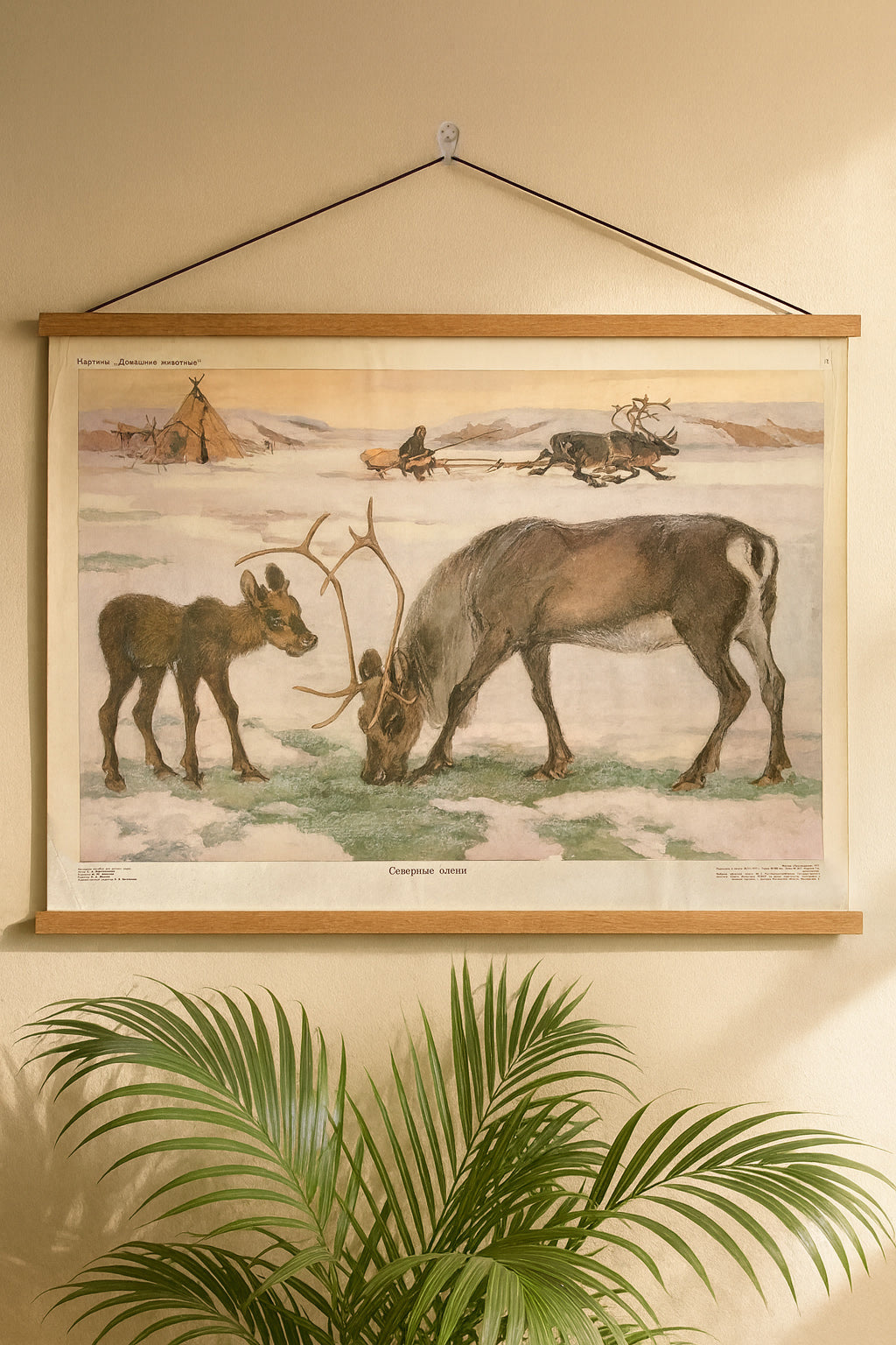 Soviet vintage kindergarten educational poster from 1977 depicting a watercolour of a snowy landscape with a Northern reindeer mother and calf with a yurt and a sledge the background 
