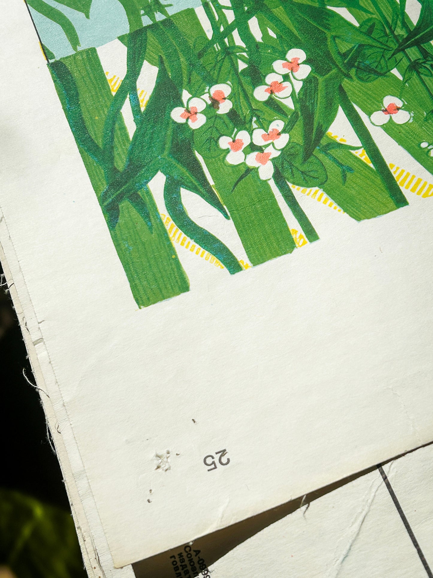 1978 Soviet Vintage Biology School Chart "BIOCENOSIS of a Freshwater Source" Paper On Linen, USSR Mid Century Ecosystem Poster