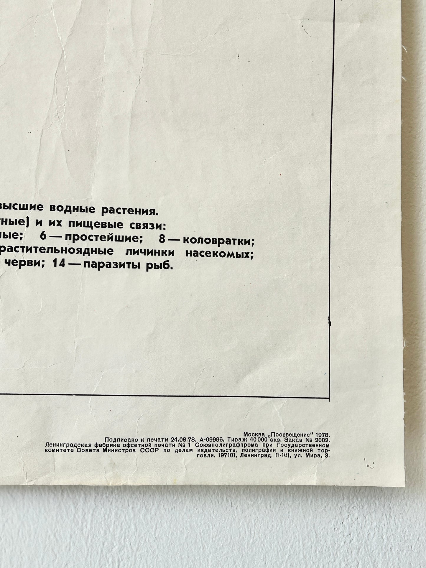 1978 Soviet Vintage Biology School Chart "BIOCENOSIS of a Freshwater Source" Paper On Linen, USSR Mid Century Ecosystem Poster