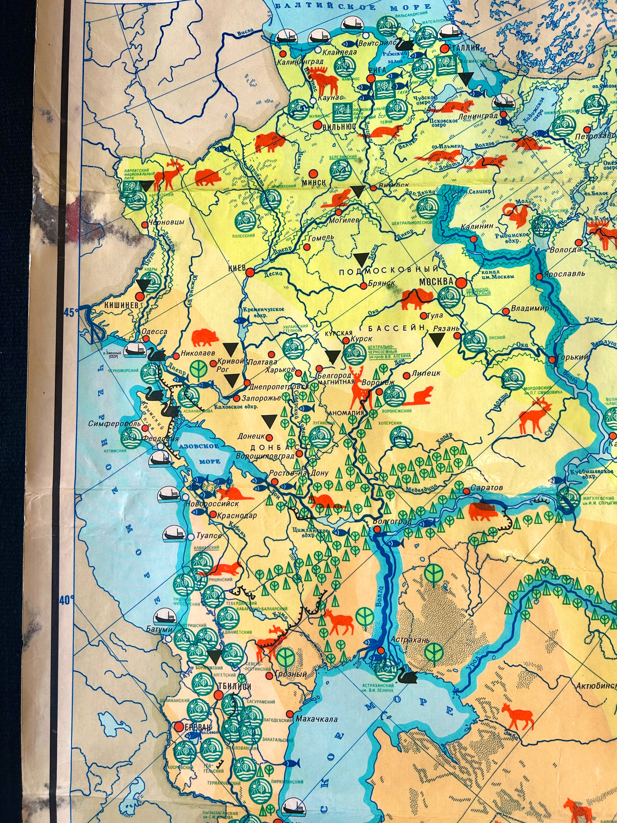 Detail of a Soviet vintage illustrated school map showing USSR wildlife, with silhouettes of animals, birds, fish and nature reserves.