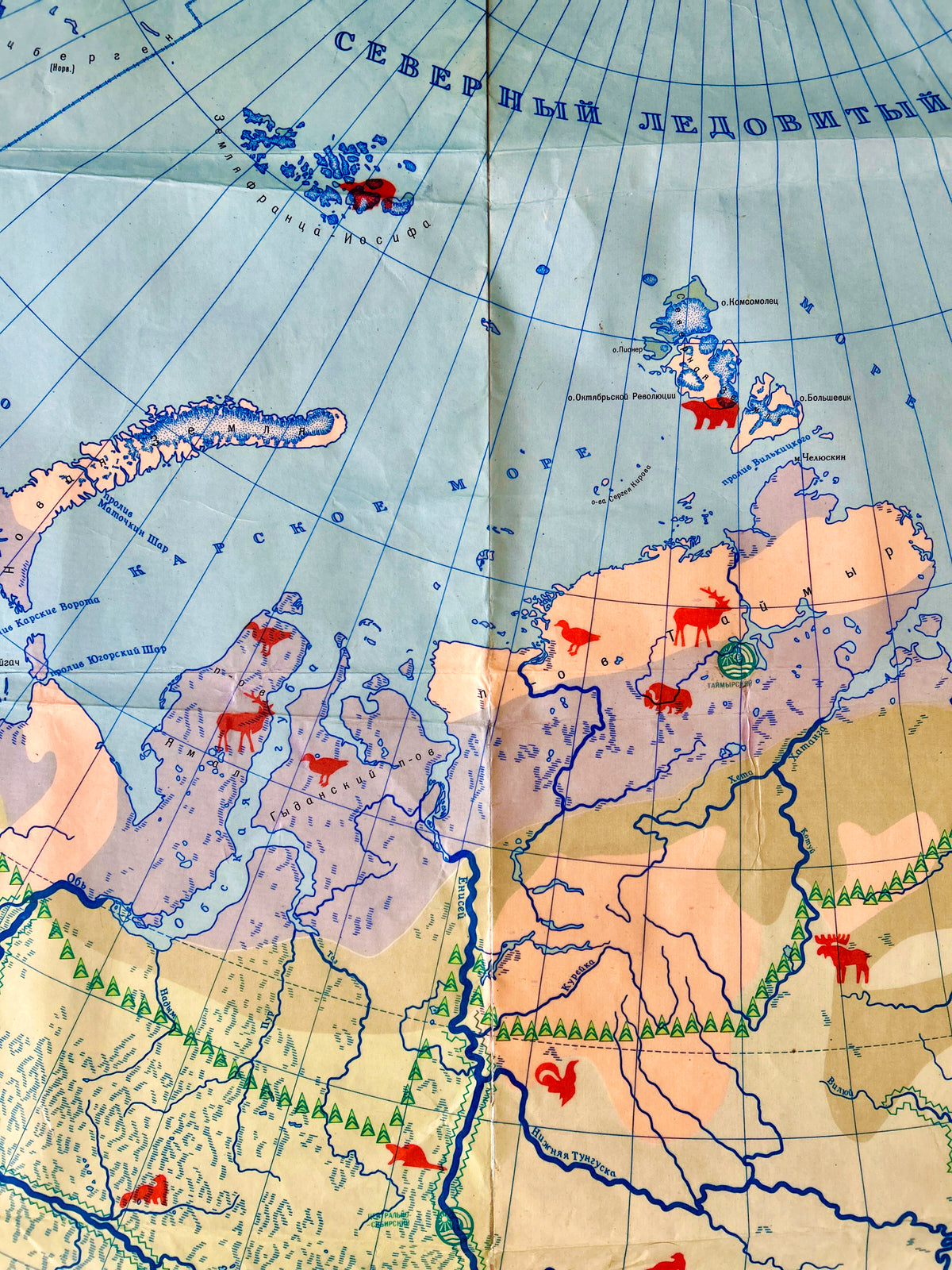 Detail of a Soviet vintage illustrated school map showing USSR wildlife, animals, birds & nature reserves across the USSR.