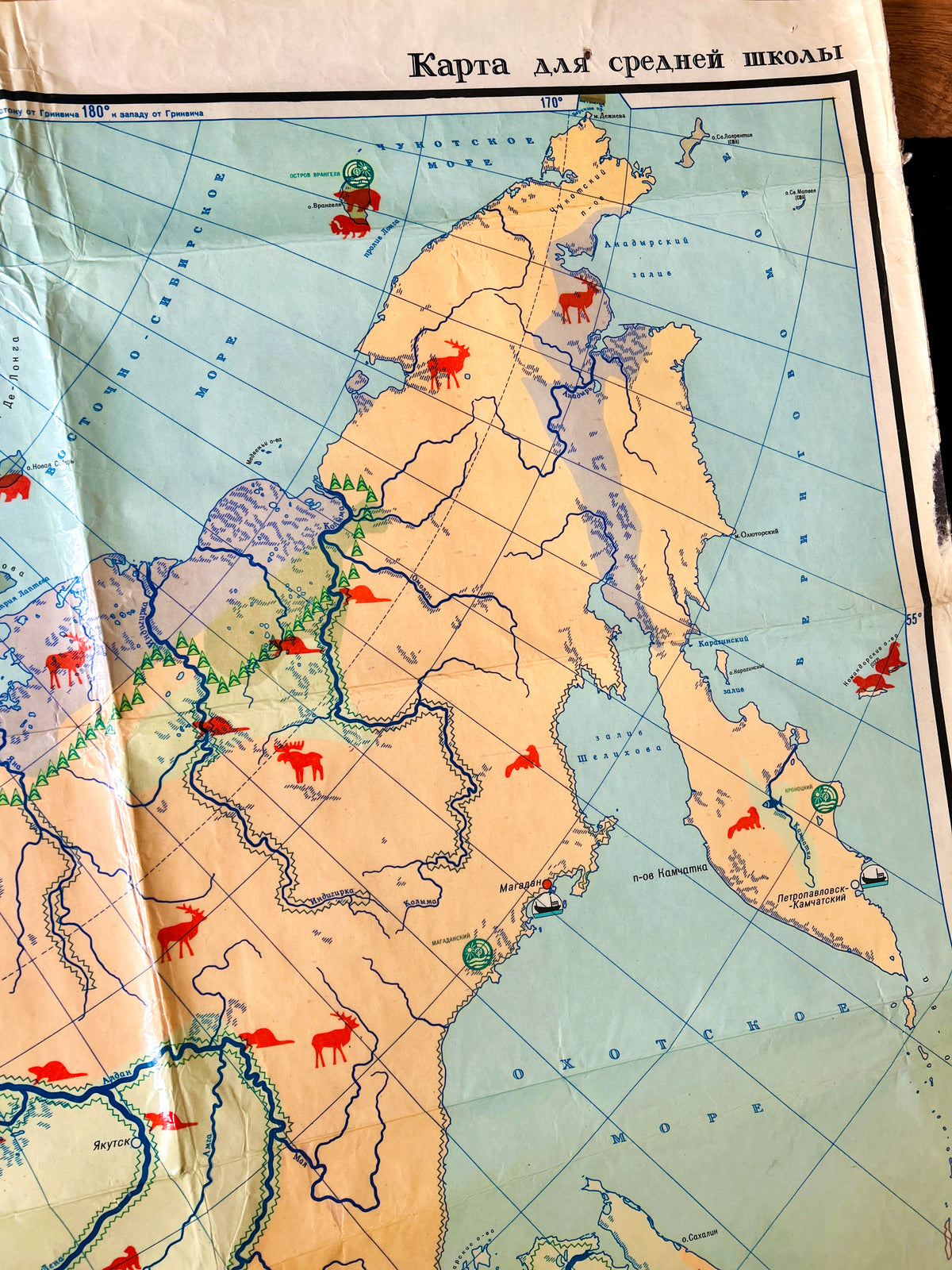 Detail of a Soviet vintage illustrated map for middle school showing USSR wildlife, with silhouettes of animals, birds, fish and nature reserves.