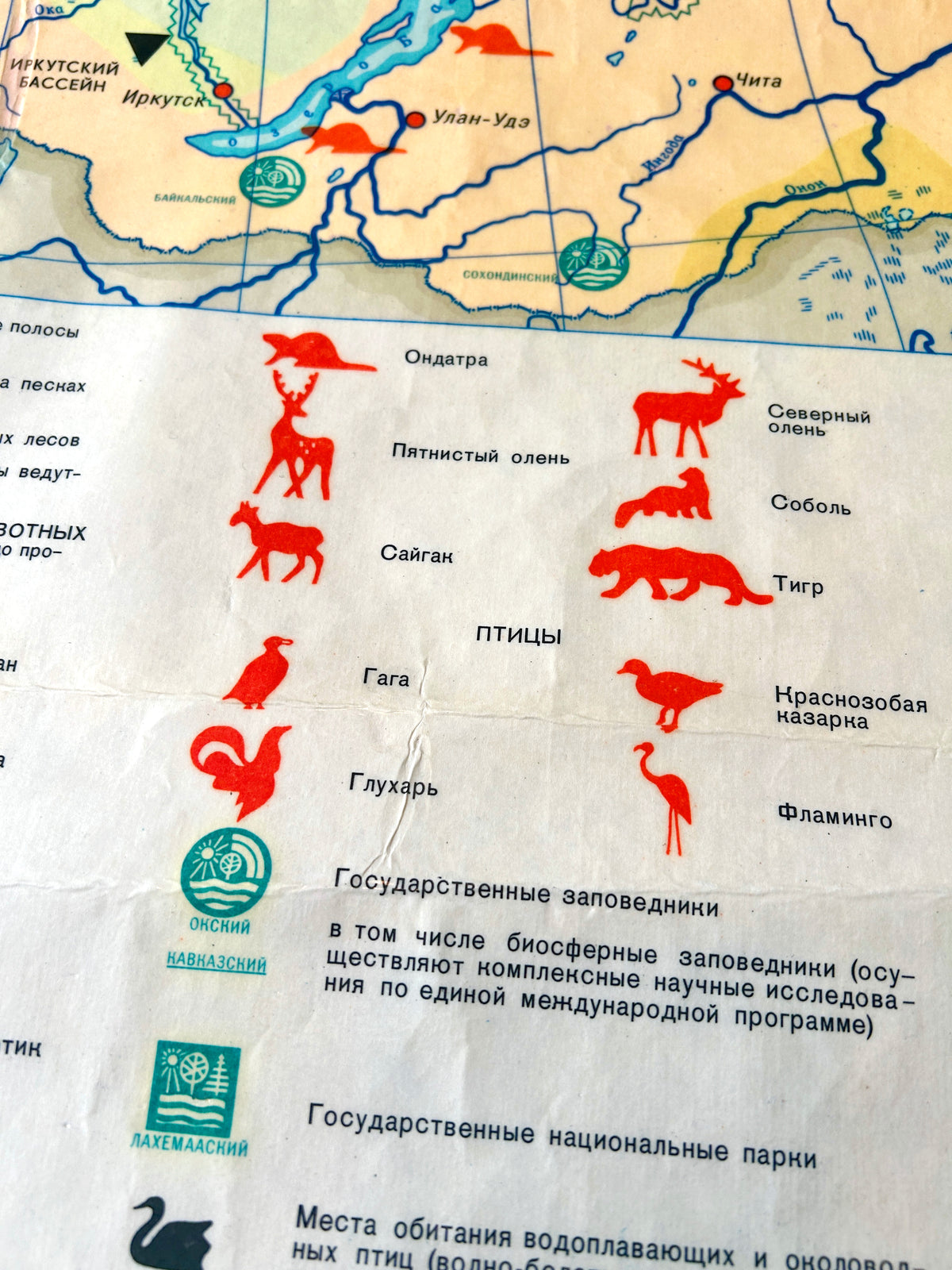 A close-up of a Soviet vintage illustrated school map showing silhouettes of USSR wildlife, animals, birds & nature reserves across the USSR. 