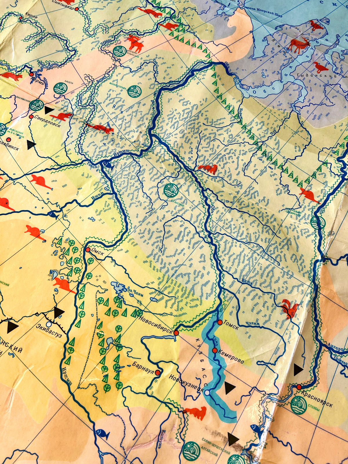 Detail of a Soviet vintage illustrated school map showing USSR wildlife, with silhouettes of animals, birds, fish and nature reserves.