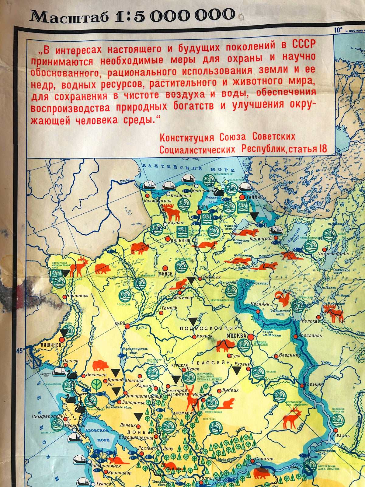 Detail of a Soviet vintage illustrated school map showing USSR wildlife, animals, birds & nature reserves across the USSR.