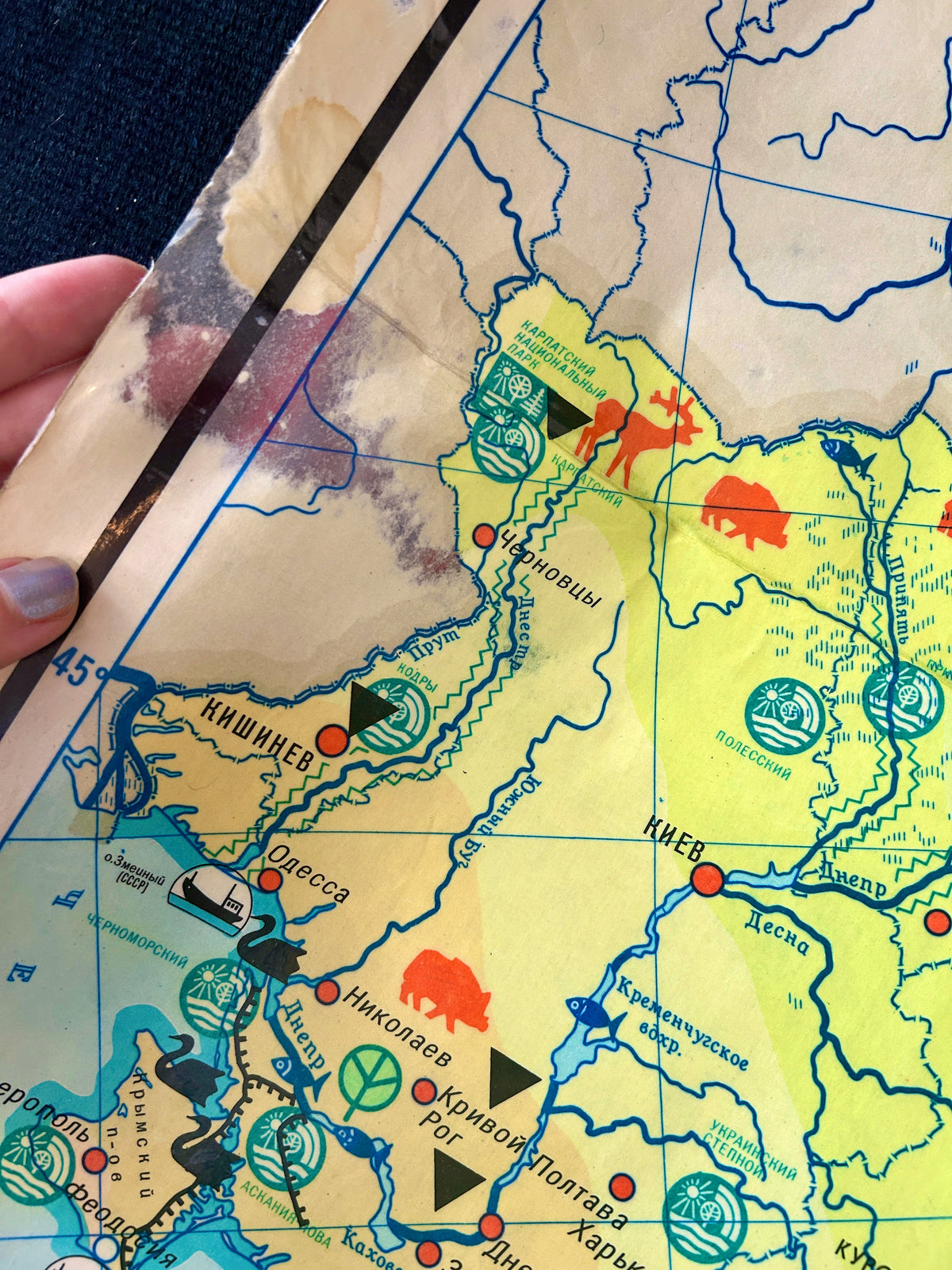 Detail of a Soviet vintage illustrated school map showing Ukrainian wildlife, with silhouettes of animals, birds, fish and nature reserves.