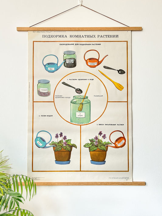 Feeding Houseplants - Original Soviet Vintage Educational School Poster | 1980's USSR School Chart