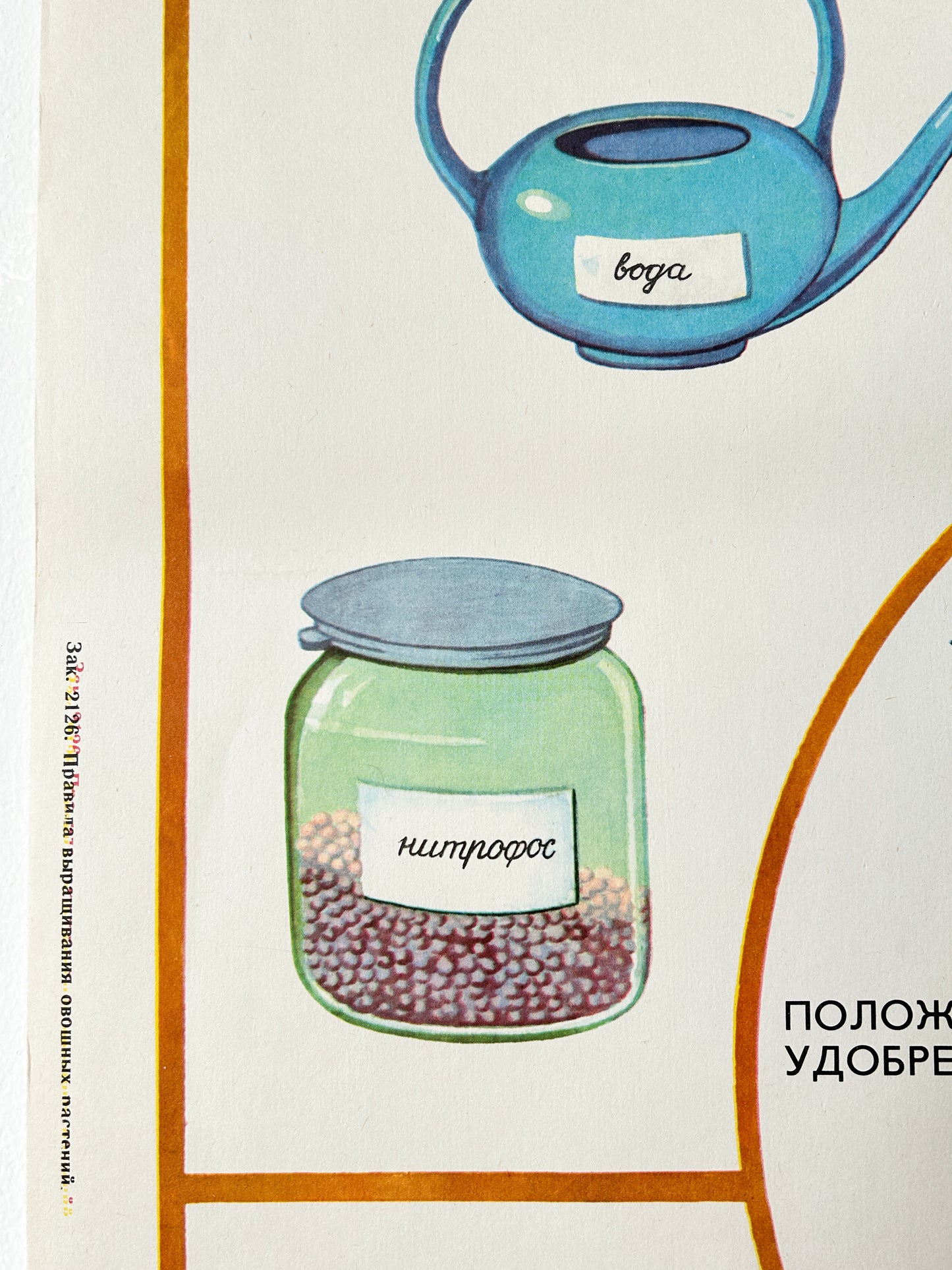 Feeding Houseplants - Original Soviet Vintage Educational School Poster | 1980's USSR School Chart
