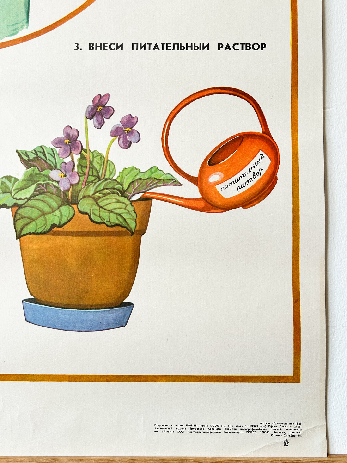 Feeding Houseplants - Original Soviet Vintage Educational School Poster | 1980's USSR School Chart