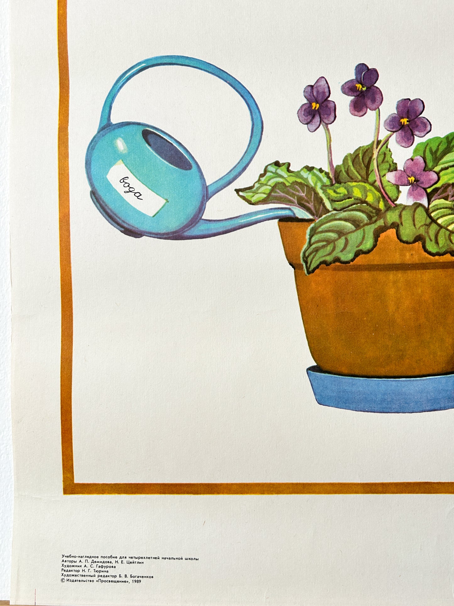 Feeding Houseplants - Original Soviet Vintage Educational School Poster | 1980's USSR School Chart
