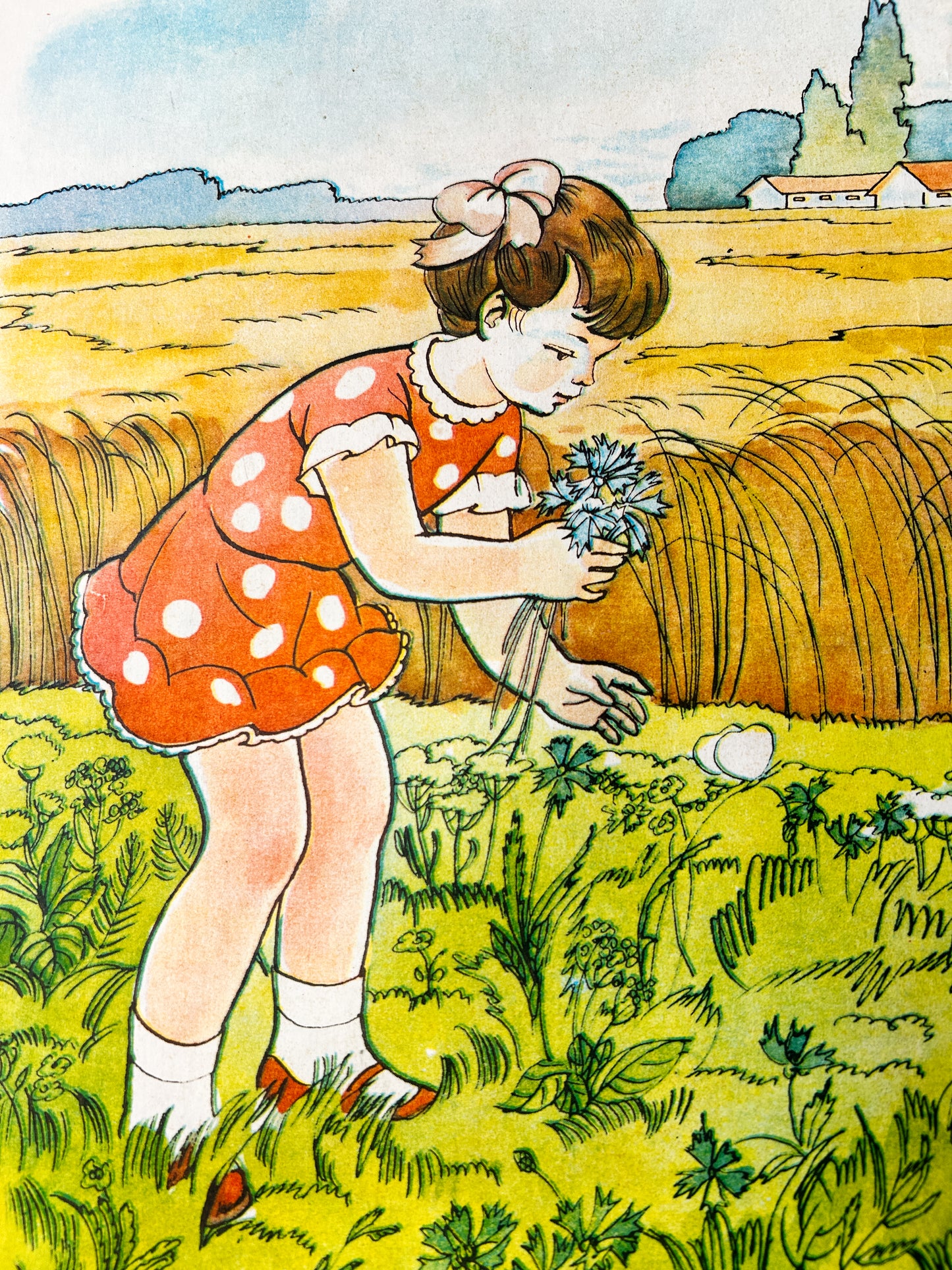 1983 Rare Original Ukrainian Vintage Double Sided Nursery Alphabet Poster: Cornflower Meadow, Animals, Children, Gardening | Soviet Era Educational School Chart