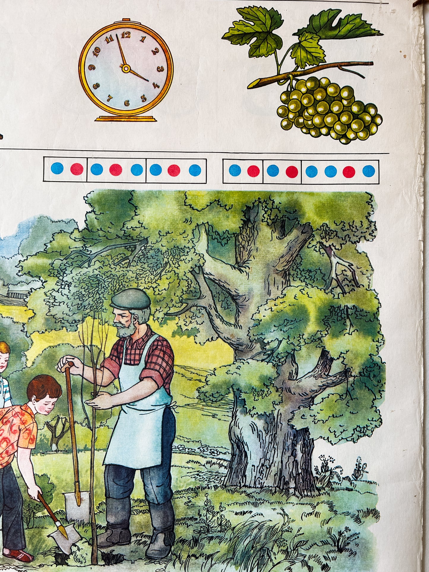 1983 Rare Original Ukrainian Vintage Double Sided Nursery Alphabet Poster: Cornflower Meadow, Animals, Children, Gardening | Soviet Era Educational School Chart