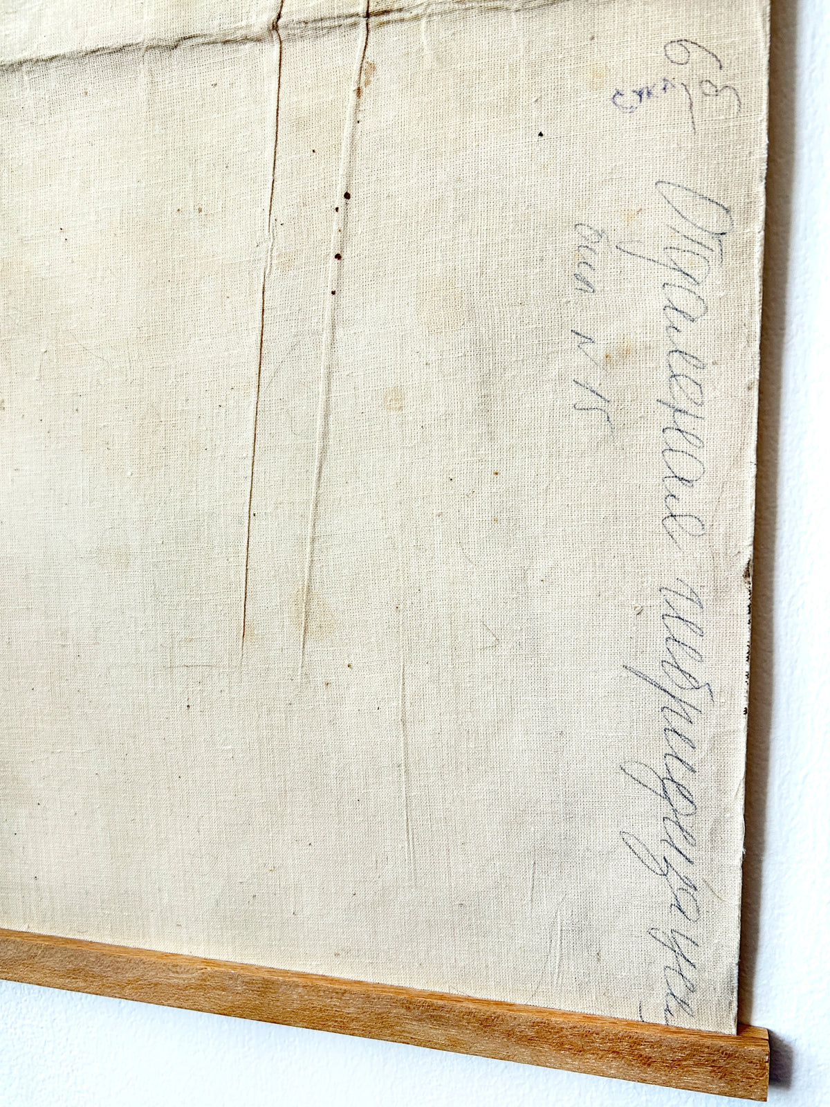 Close-up detail of a reverse side of a Soviet vintage botanical school poster on a linen backing with cursive caption in ballpoint pen.