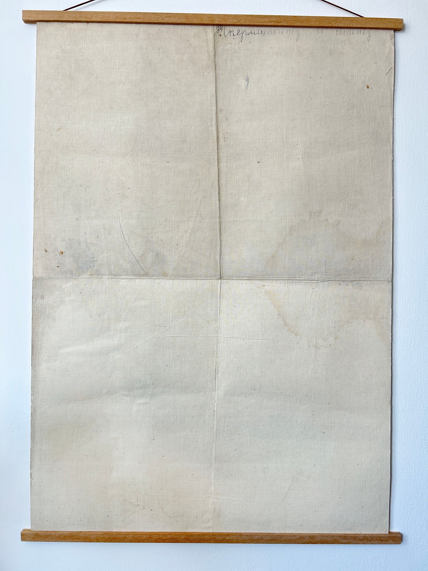 1968 Vintage Large Biology School Chart "SPERMATOGENESIS and OVOGENESIS" Paper On Linen, Soviet Mid Century Educational Reproduction Poster