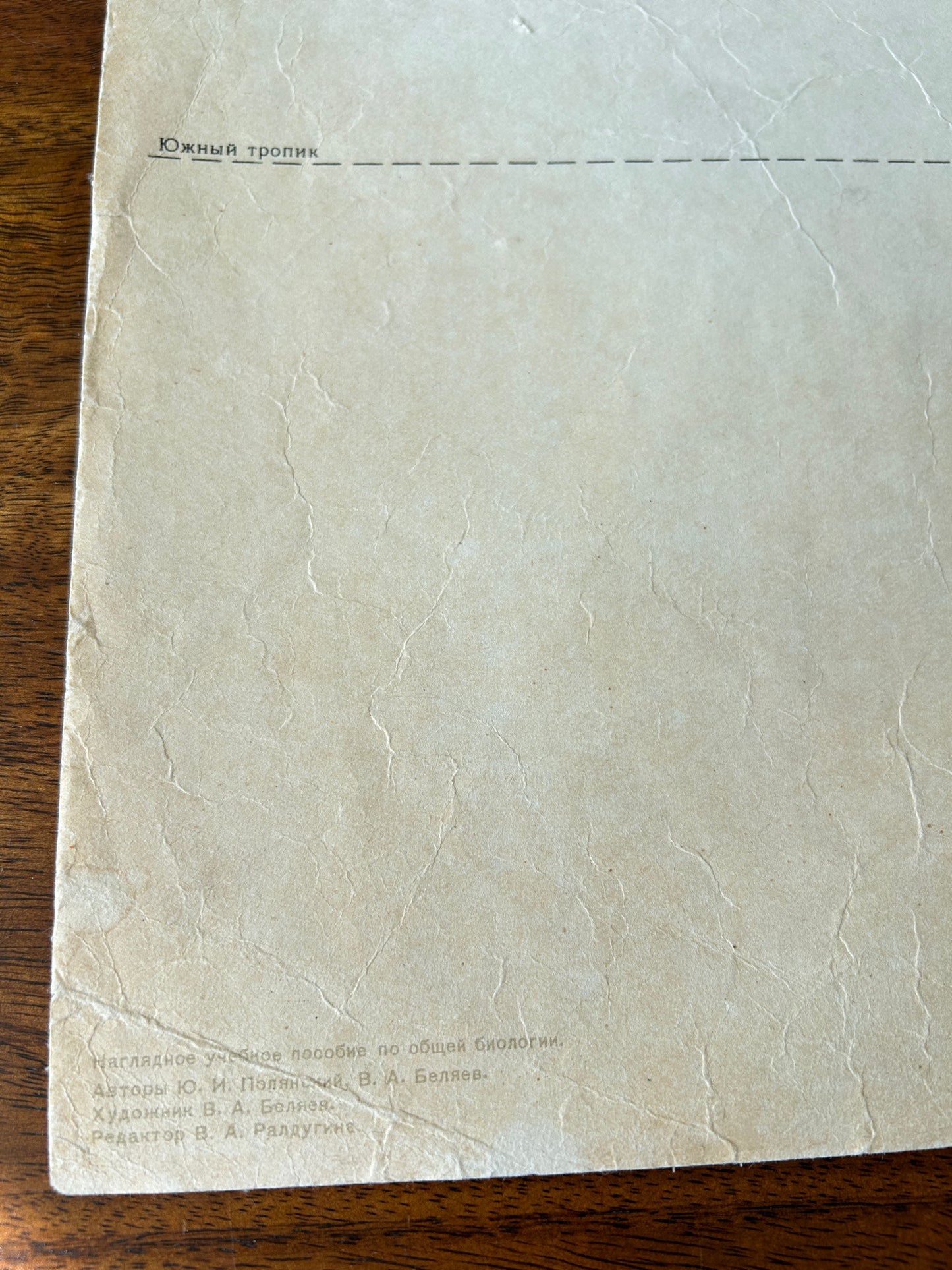 1968 Soviet Vintage Biology School Chart "Working Methods of I. V. Michurin, Hybridisation of Geographically Distant Forms" Paper On Linen, Soviet Mid Century Botanical APPLE Breeding Poster