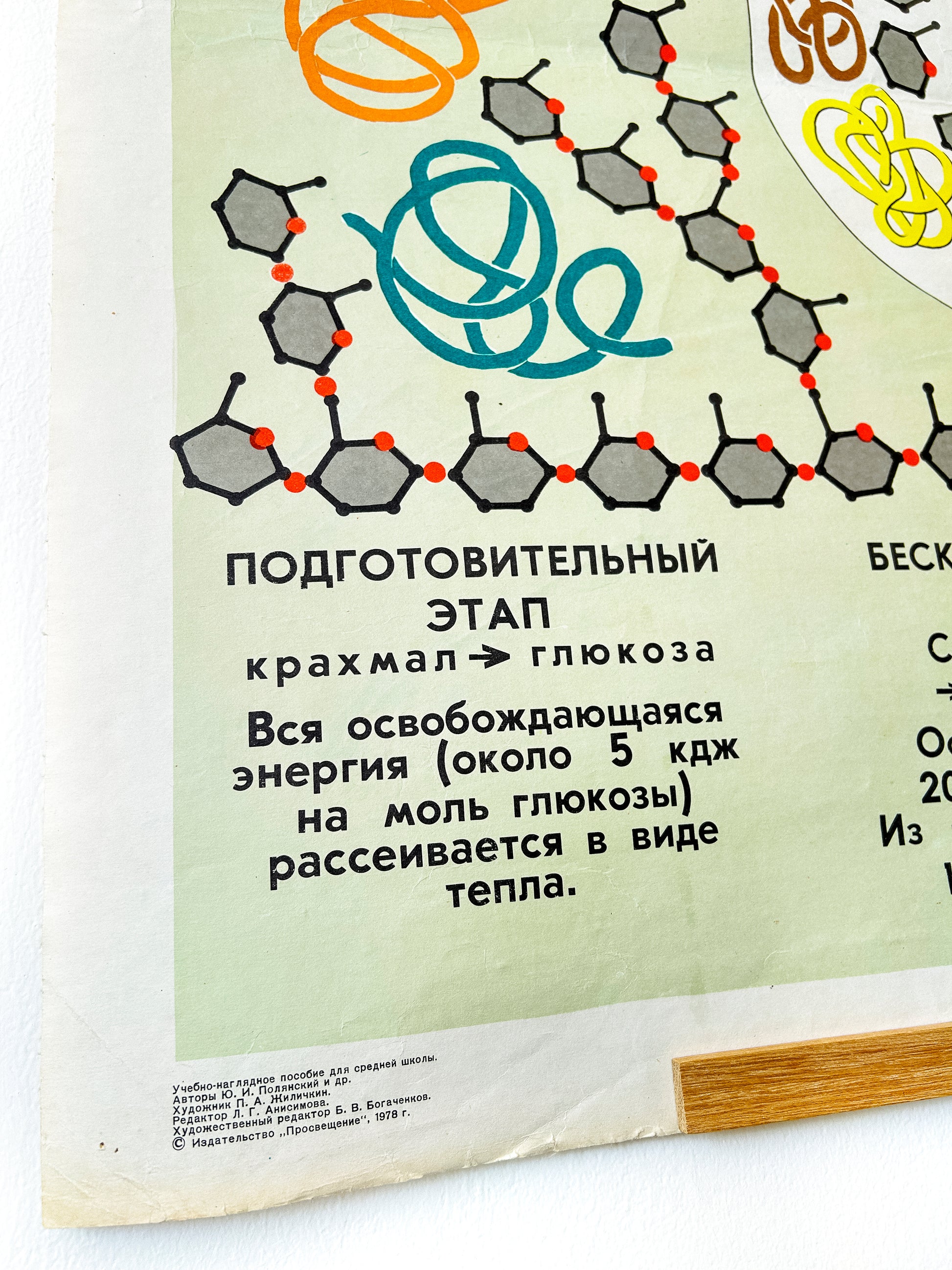 soviet vintage educational poster diagram metabolism of carbohydrates PREPARATORY STAGE