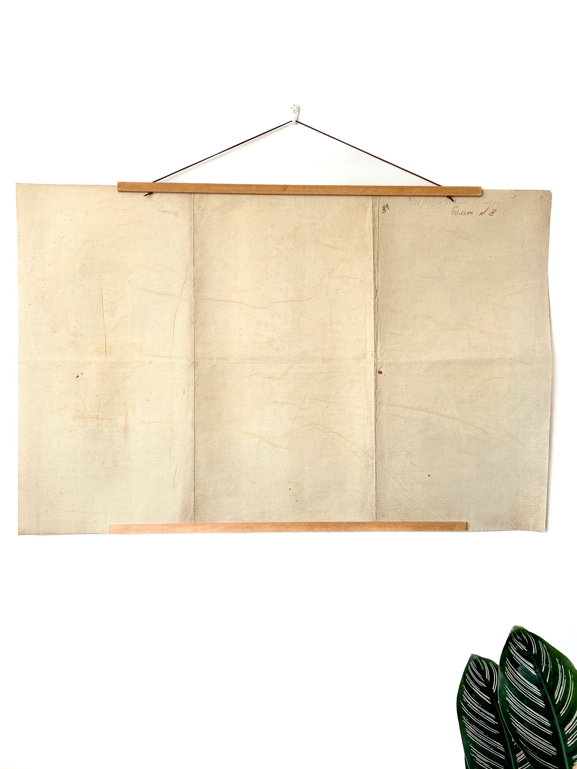 mid century educational vintage poster paper on canvas reverse
