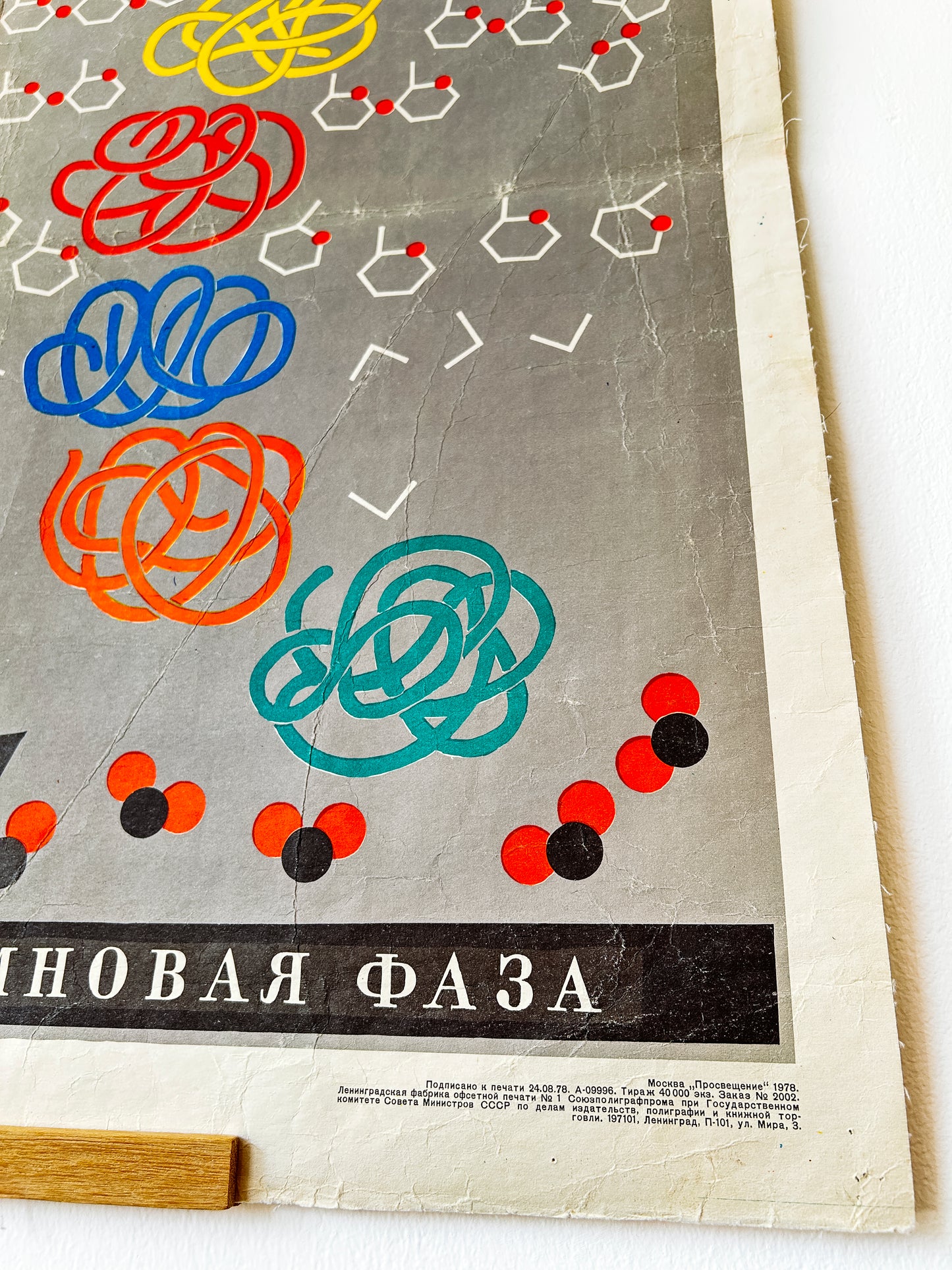 1978 Soviet Vintage Large Biology School Chart "PHOTOSYNTHESIS" Paper On Linen, USSR Mid Century Educational Poster