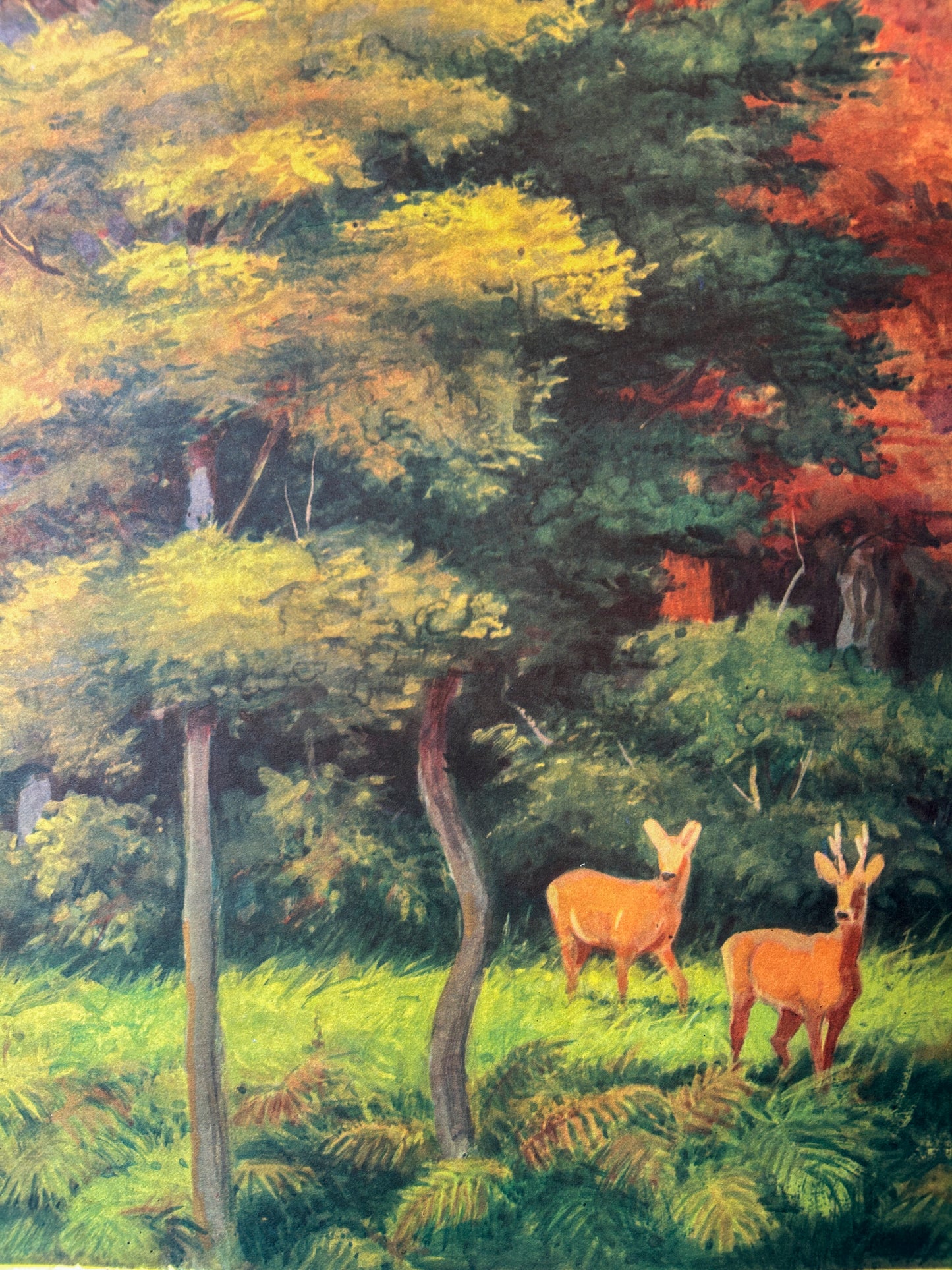 Soviet vintage illustration featuring deer in the forest