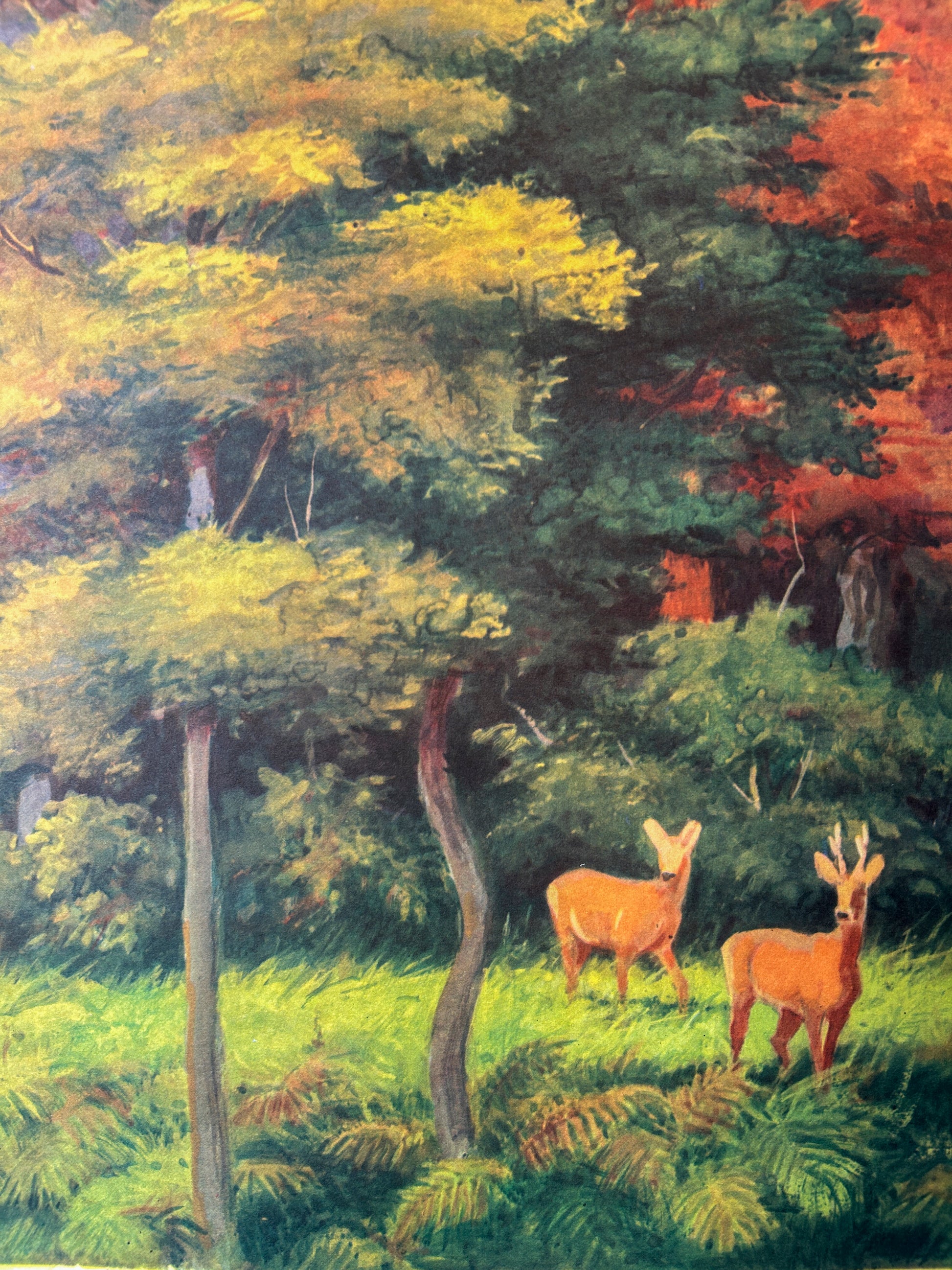 Soviet vintage illustration featuring deer in the forest