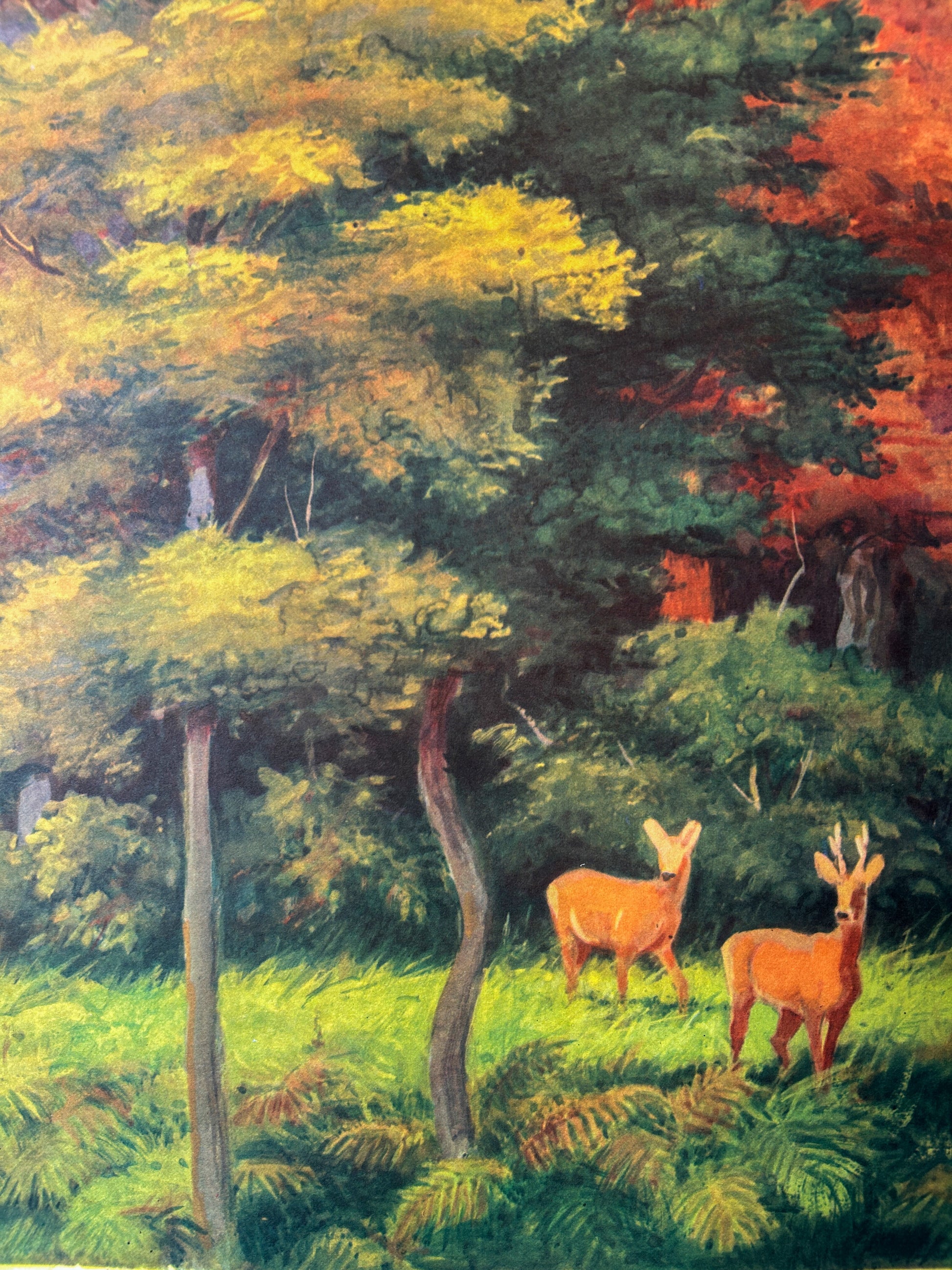 Detail of a Soviet vintage wildlife poster illustrating a forest scene with two deer standing among green and yellow trees, with red-orange foliage in the background.