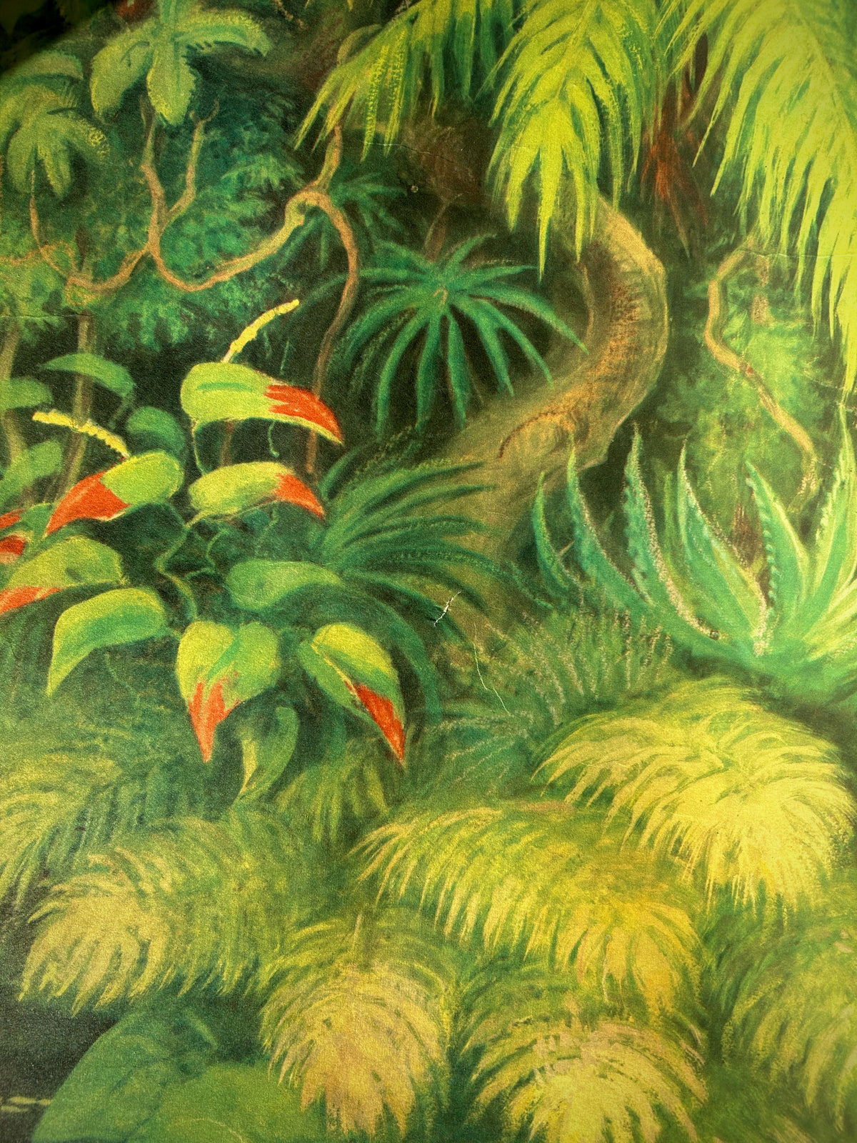 Detail of a Soviet vintage wildlife poster featuring an illustration of a lush rainforest with red flowers.