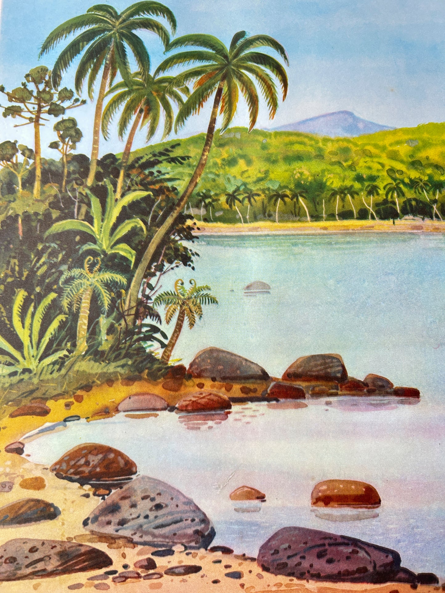 Vintage illustration of Oceania: tropical landscape with palm trees, rocks, and a body of water