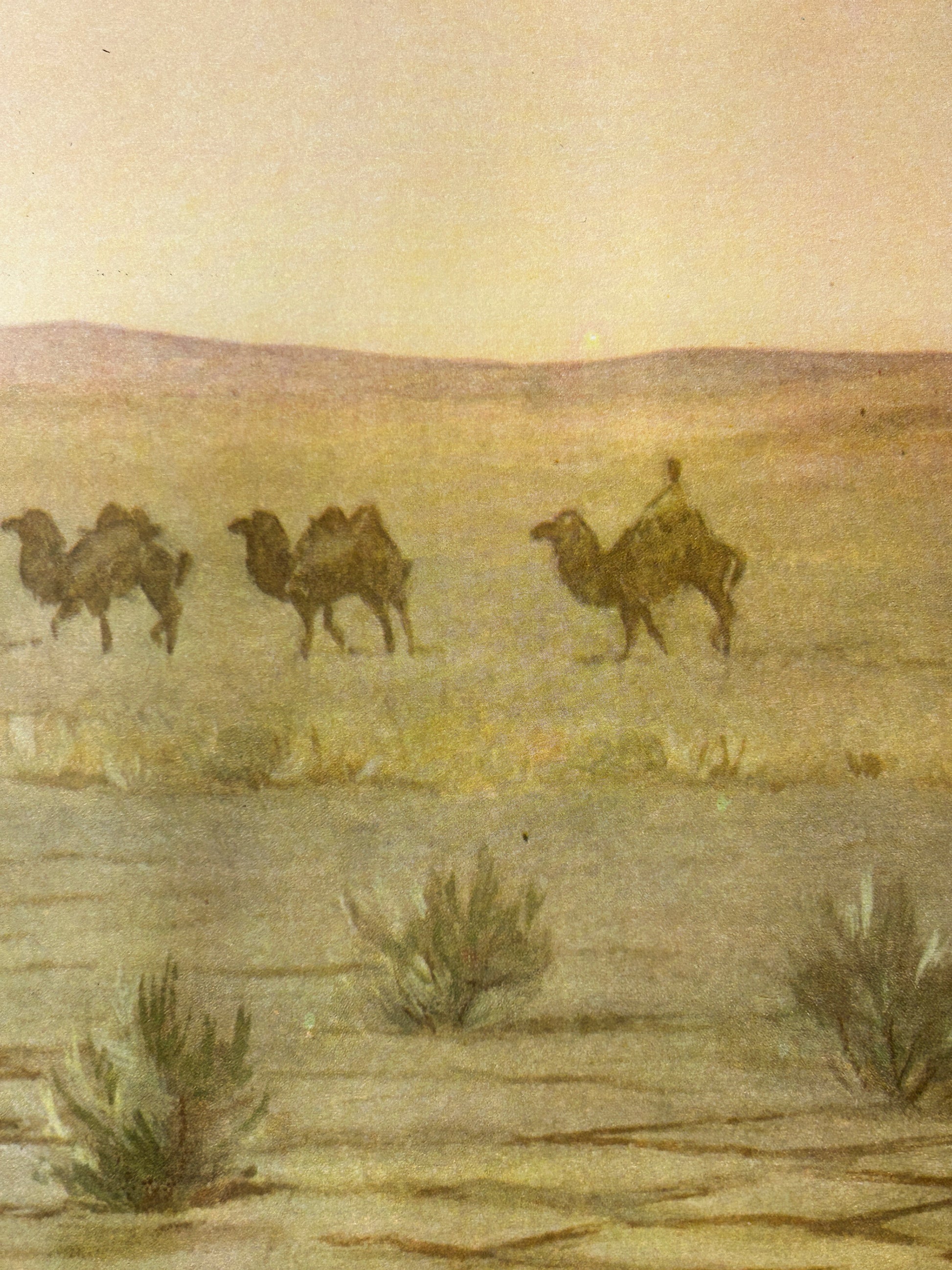 Soviet Vintage Educational Wildlife Poster depicting Eurasian Desert and a caravan of camels 
