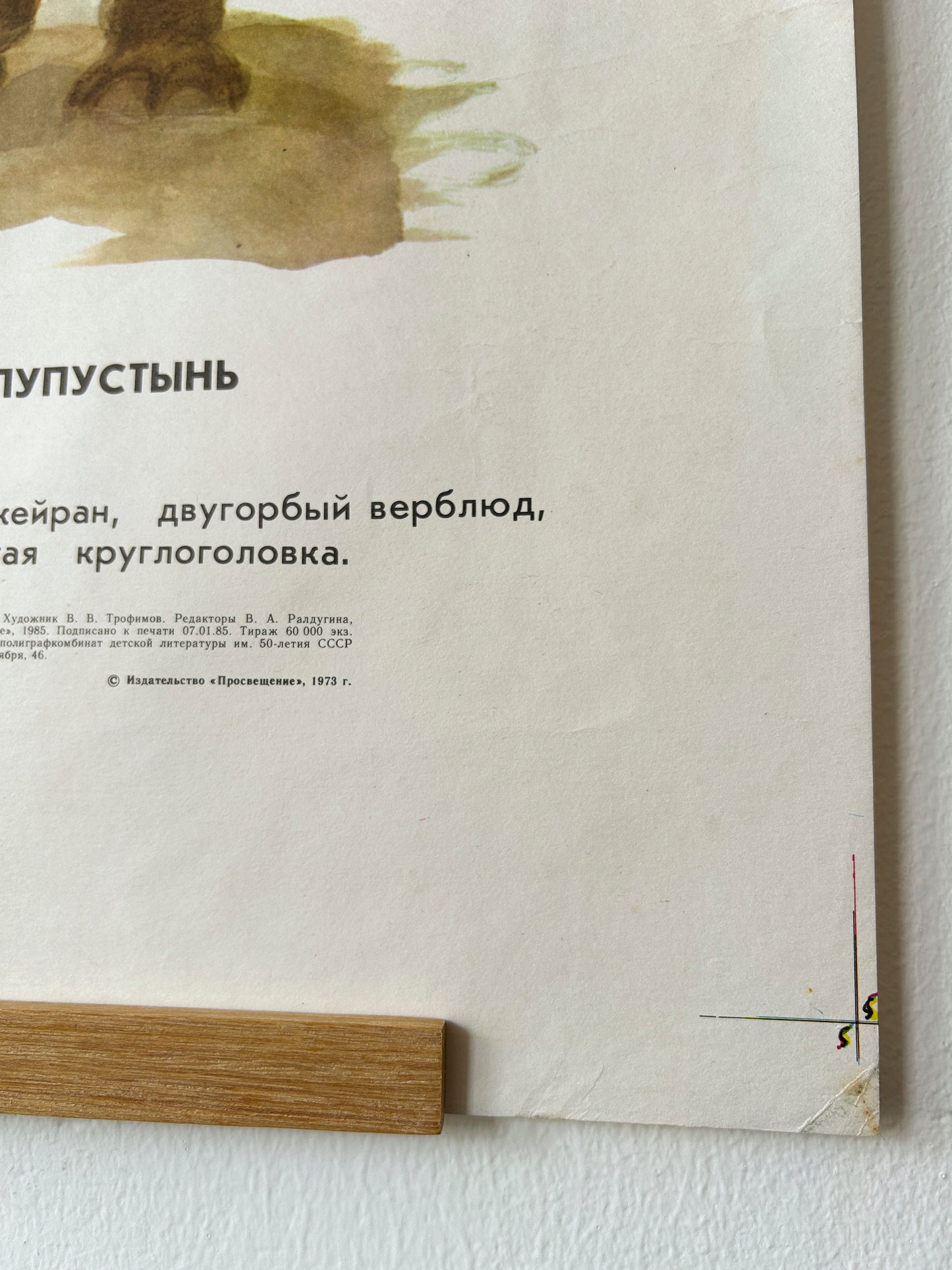 Original Soviet Vintage Educational Wildlife Poster – Eurasian Desert Animals: Camel, Gloydius Snake, Toad-headed Agama, Gazelle, Jay | USSR School Chart