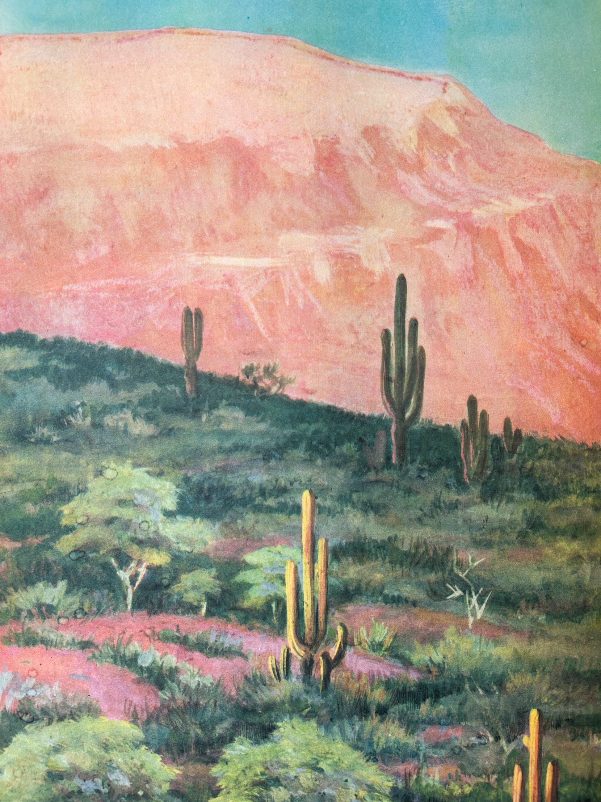 Landscape of Andes vintage illustration cactus, mountain, blue sky