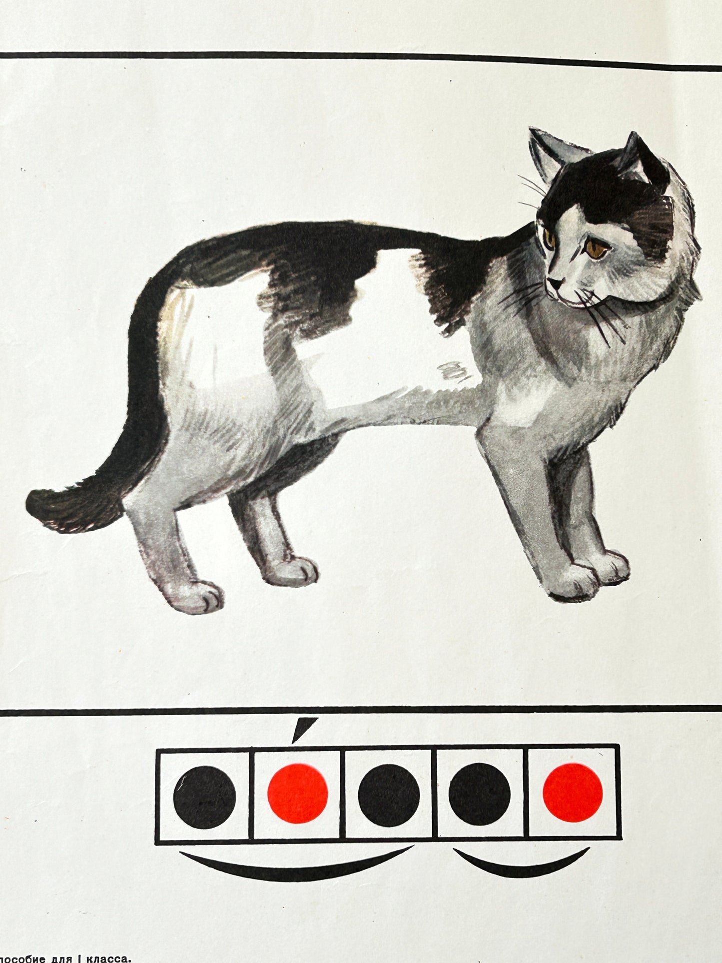 A USSR vintage illustration of a black-and-white cat and a phonetic diagram below – a detail of a Soviet educational nursery poster.
