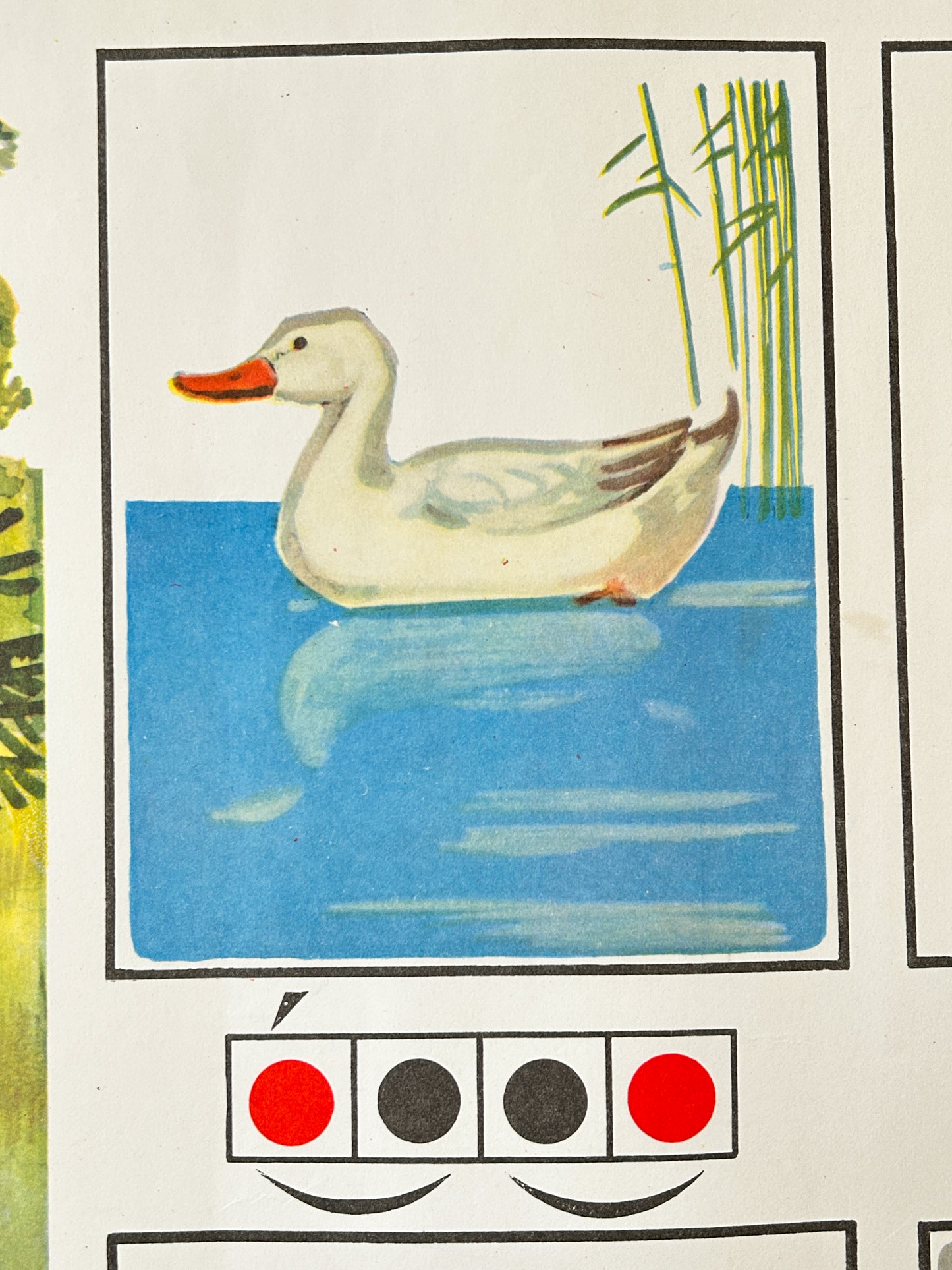 A Soviet vintage nursery poster detail featuring an illustration of a white duck with an orange beak swimming in blue water, with green reeds behind it and a phonetic diagram below.